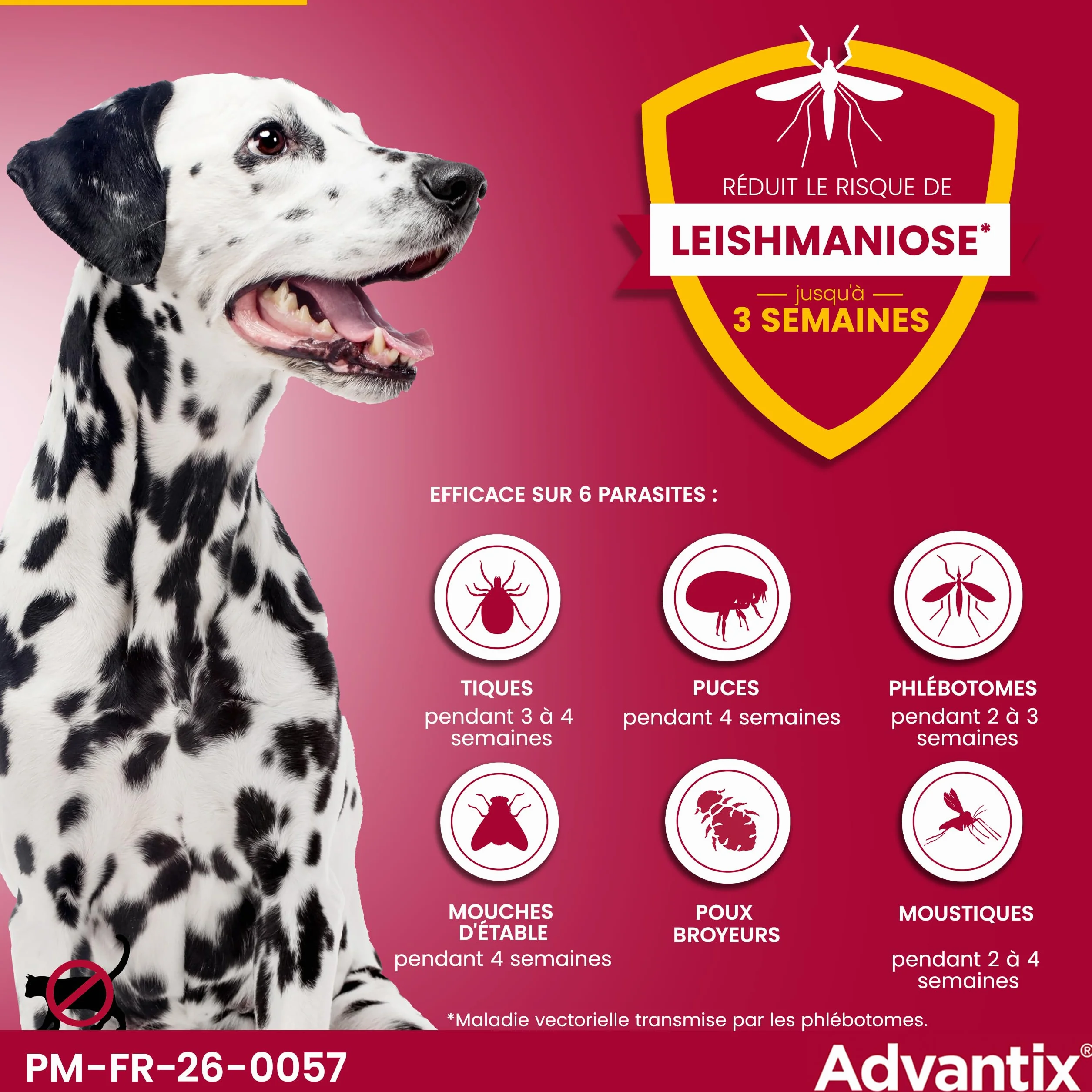 Advantix Grand Chien 25-40 kg Pipettes 4 semaines 6 parasites 4 x 4,0 ml