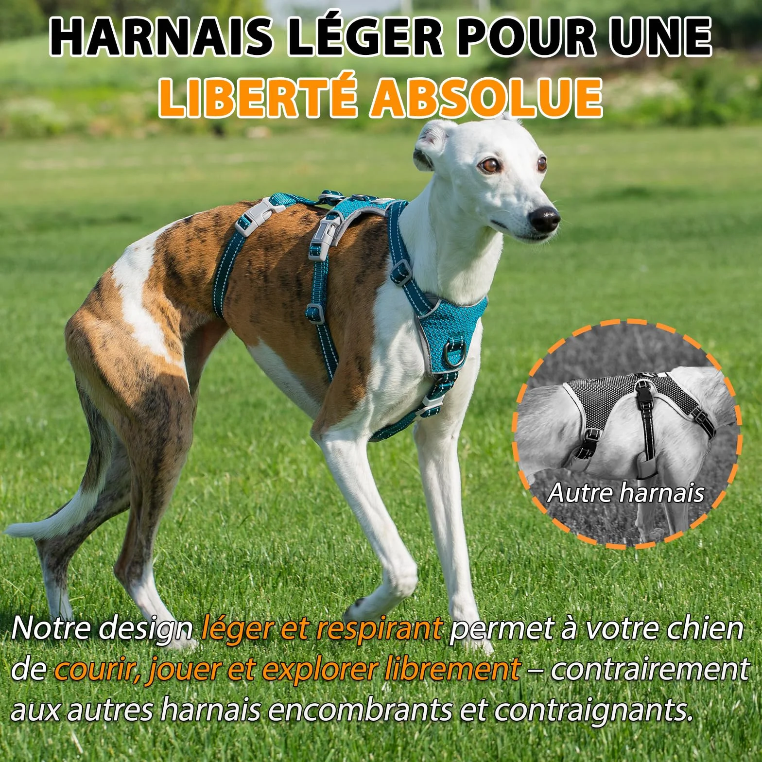 Huntboo Harnais Anti-Fugue pour Chien, Réfléchissant Anti-Traction, Durable Réglable Respirant, Bleu S
