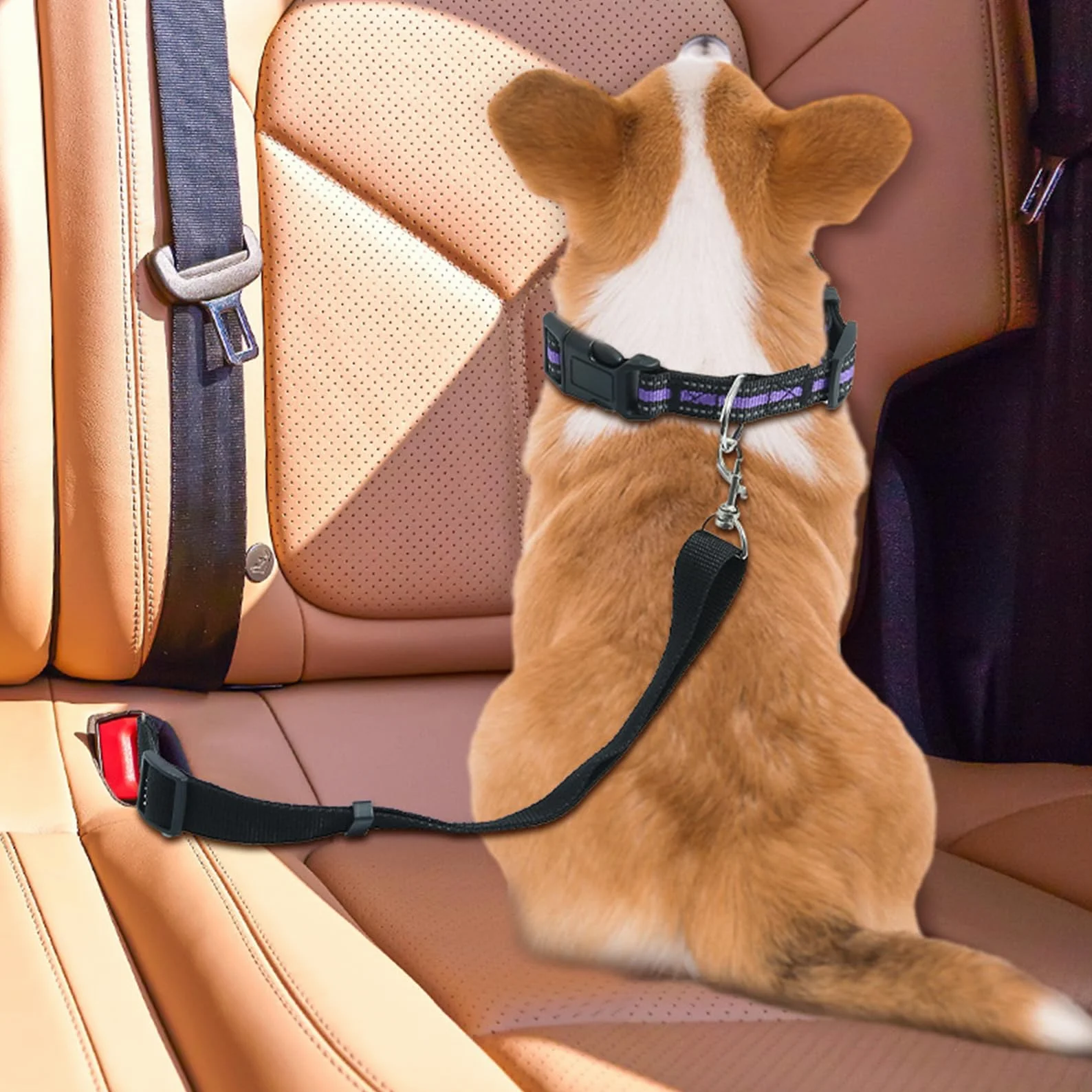 Harnais Ceinture Chien Voiture Sécurité Accessoires Attache Rallonge Transport pour Chats Chiot