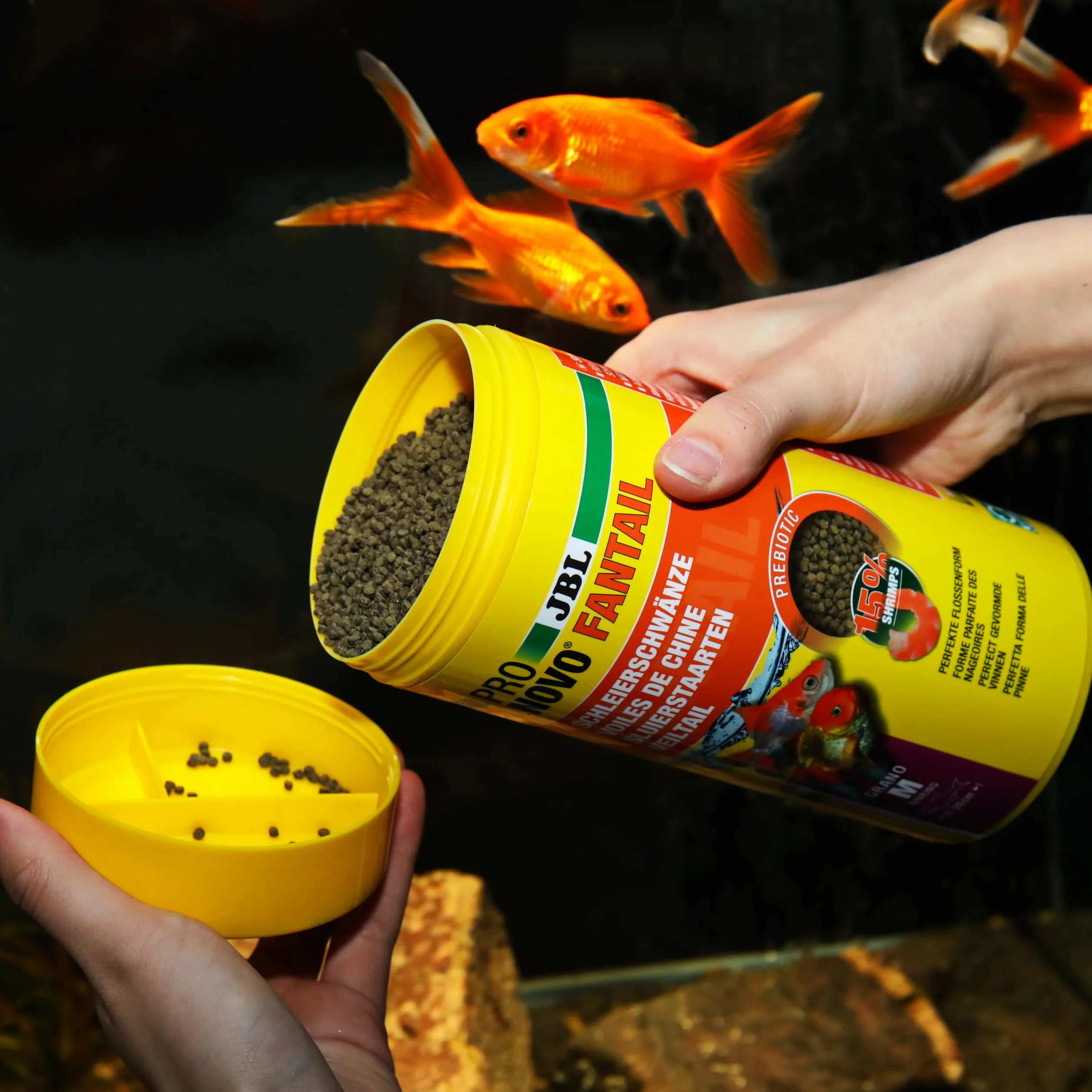 JBL PRONOVO FANTAIL GRANO Aliment de Base pour Poissons Rouges 8-20 cm Granulés Doseur à Clic taille M 1 L