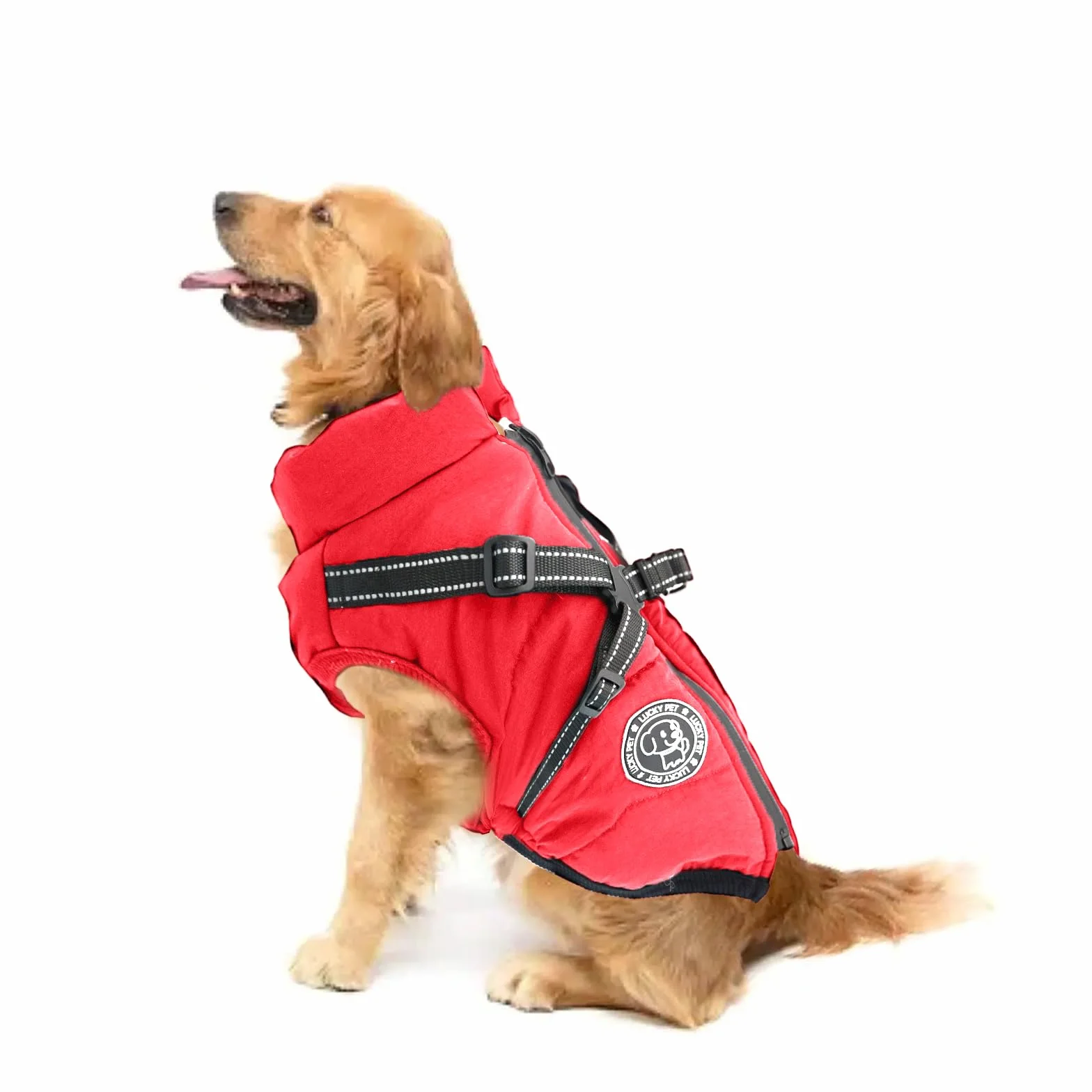 Manteau Chien imperméable Hiver avec Harnais