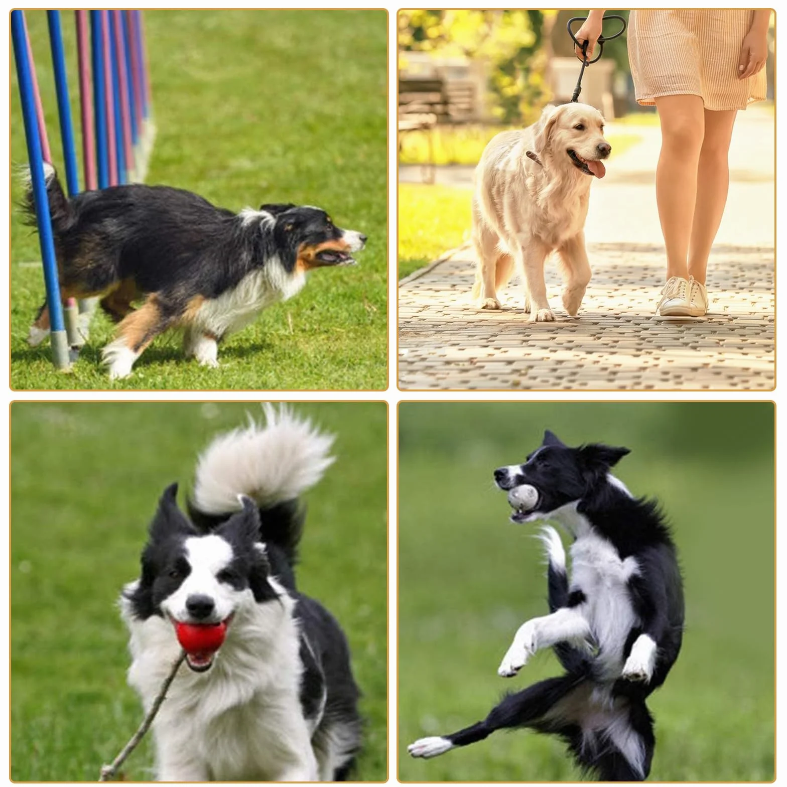 Sifflet Ultrason Chien Anti Aboiement avec Lanière, Haute Fréquence