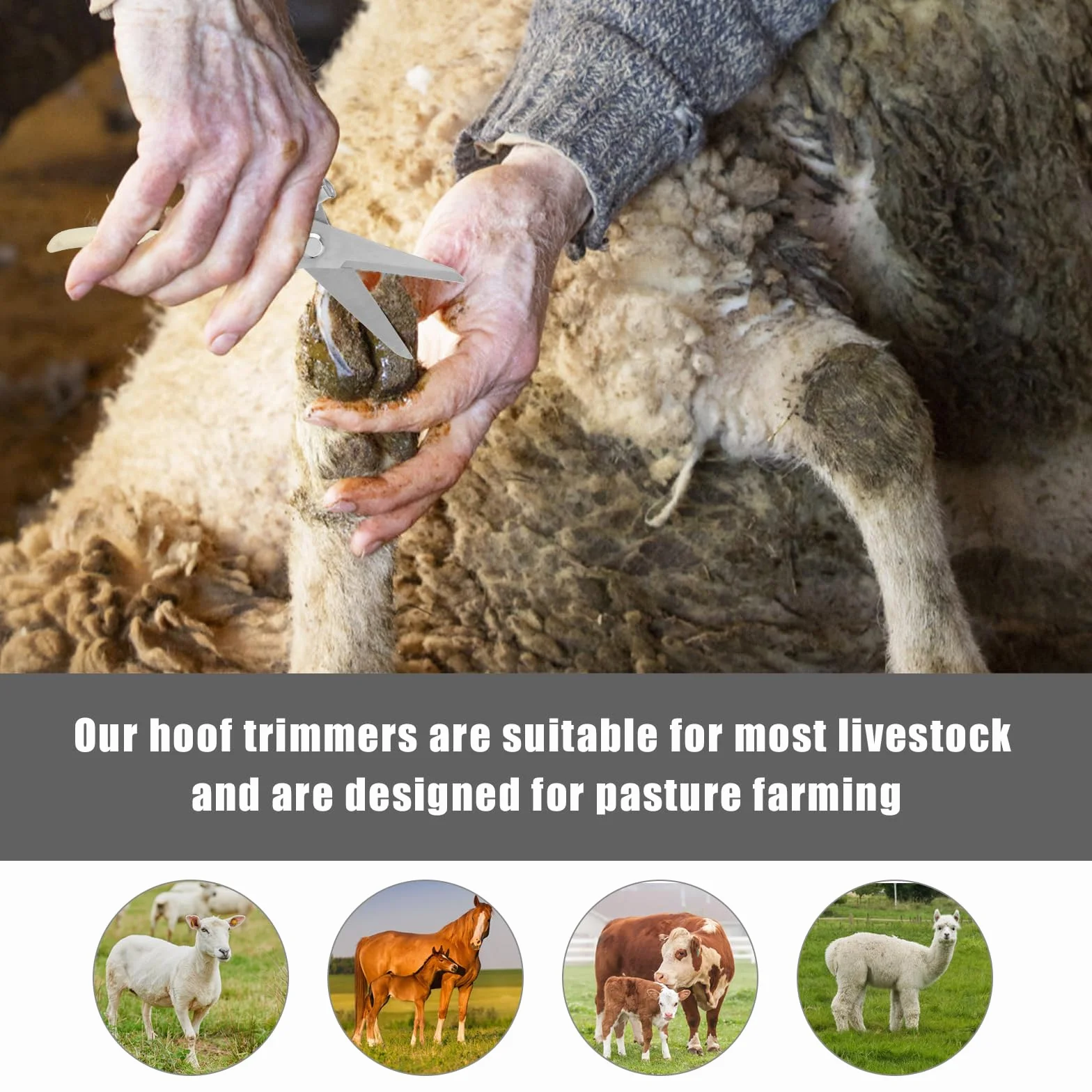PEUTIER Coupe-Ongles de Chèvre, Outil de Coupe de Sabots en Acier Inoxydable avec Cisailles à Sabots à Ressort Coupe-Ongles de Mouton pour Cochon, Cheval, Bétail