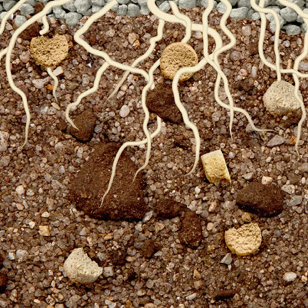 sera Aqua Gravel Floredepot Substr 2,4 kg | Substrat pour tous les aquariums d'eau douce | Terreau et engrais pour plantes d'aquarium | Comme base sous gravier | Contient de la tourbe et des granulés