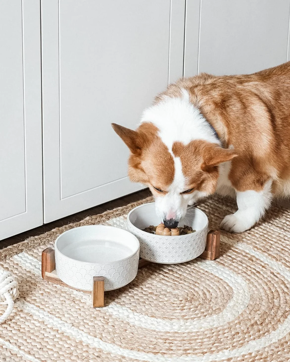 LE TAUCI Lot de 2 gamelles en céramique avec Support en Bois d'acacia, 3 Tasses pour Chat et Chien
