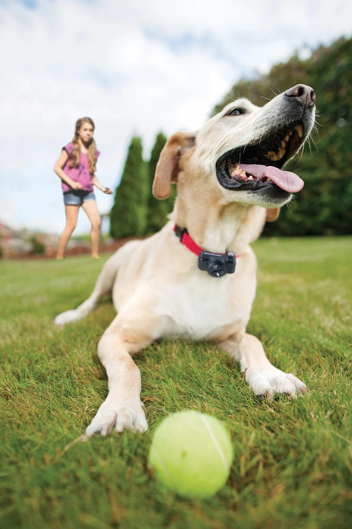Petsafe Système De Clôture Anti-Fugue pour Chien Plus 3,6 Kg - 4 Niveaux De Stimulations - Imperméable - Jusqu'À 0.13 Hectares