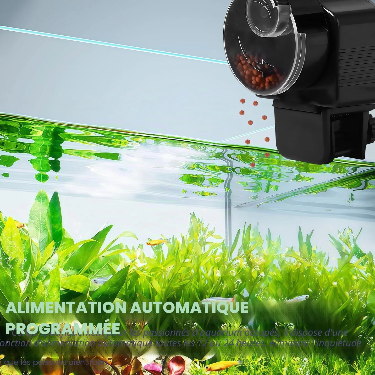 Distributeur automatique de nourriture pour poissons 60 ml pour granulés et bandes