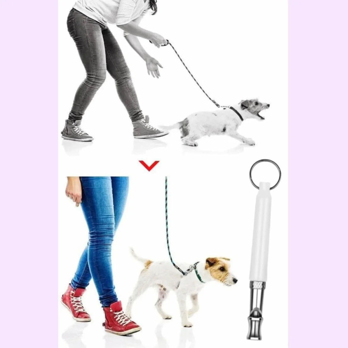 Sifflets Ultrasons pour Chien Anti Aboiement Dressage Haute Fréquence Réglable Lot de 2
