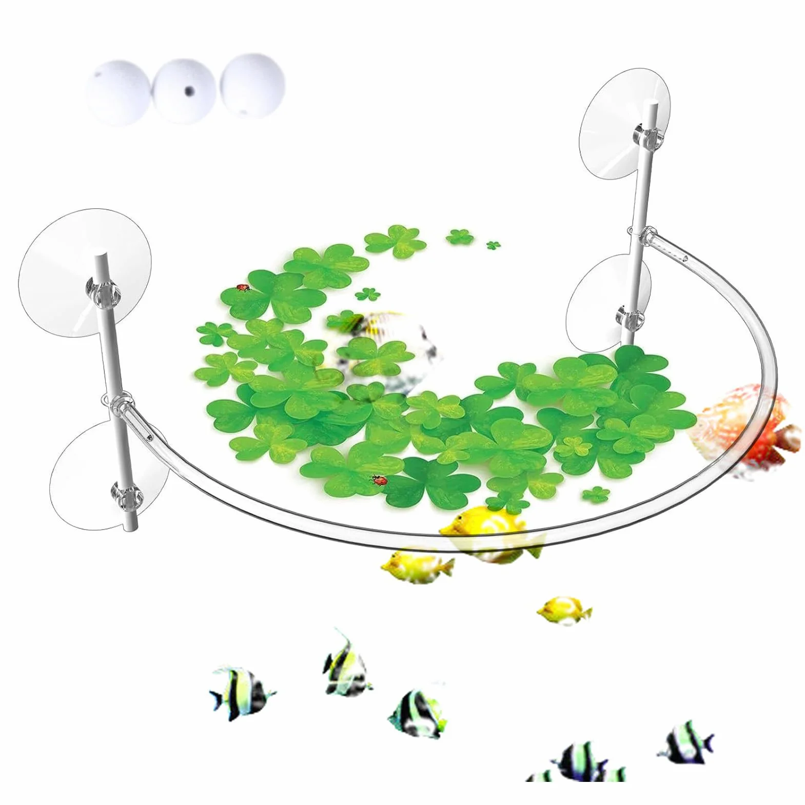 Generisch Anneau d'alimentation pour aquarium, clôture de plantes flottante, accessoires pour séparer les plantes