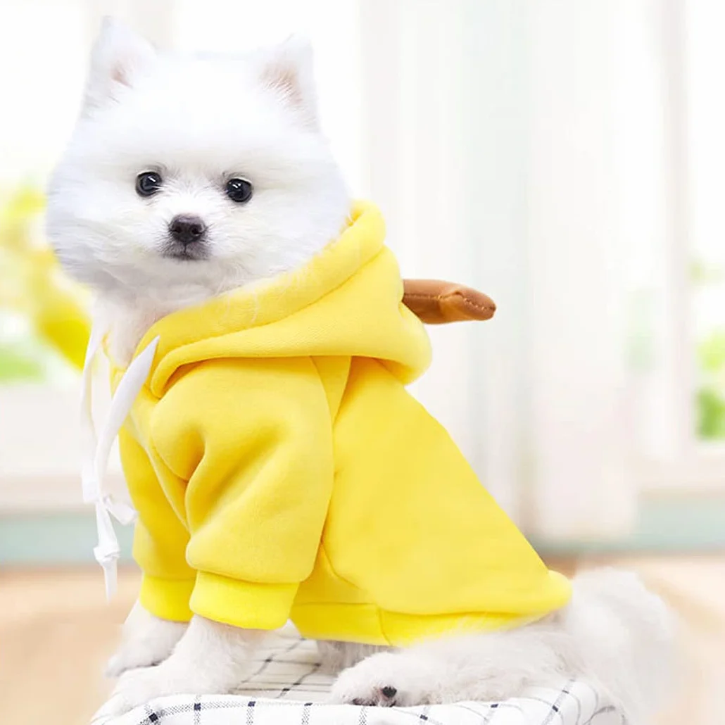 XIAOYU Hoodie vêtements pour Animaux de Compagnie Chiot Chien Chat Banane