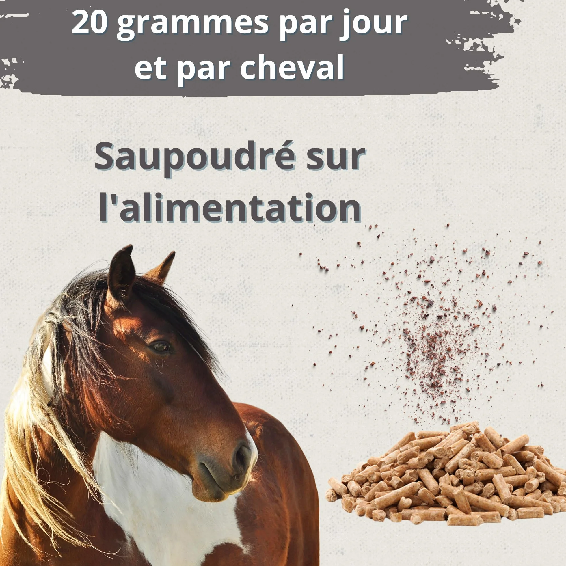 Hoofcare Biotine et zinc pour casques de cheval 750 g – Sabots forts et croissance naturelle – Idéal pour les casques fragiles, le changement de pelage et les chevaux sportifs – Soins sabots et peaux