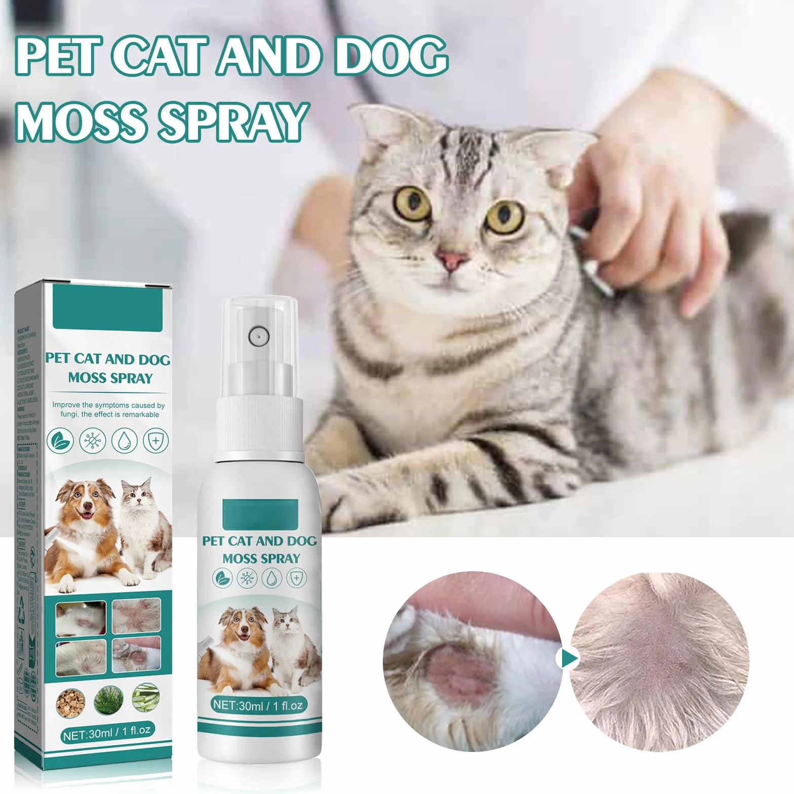 Spray Antiseptique pour Chiens et Chats, Soin des Plaies, Cicatrisation, 1PC
