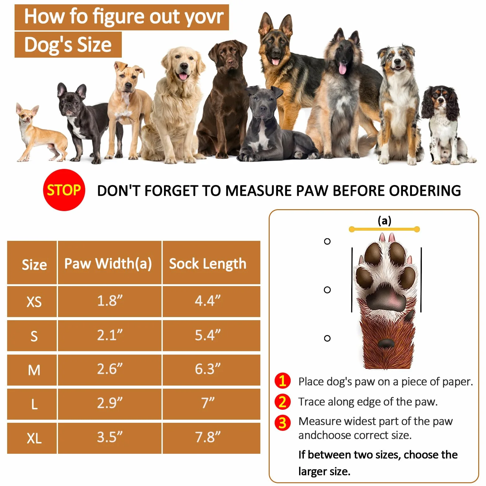 Chaussettes Antidérapantes pour Chien, Double Face, Sol en Bois Dur, Protège-Pattes, Taille M