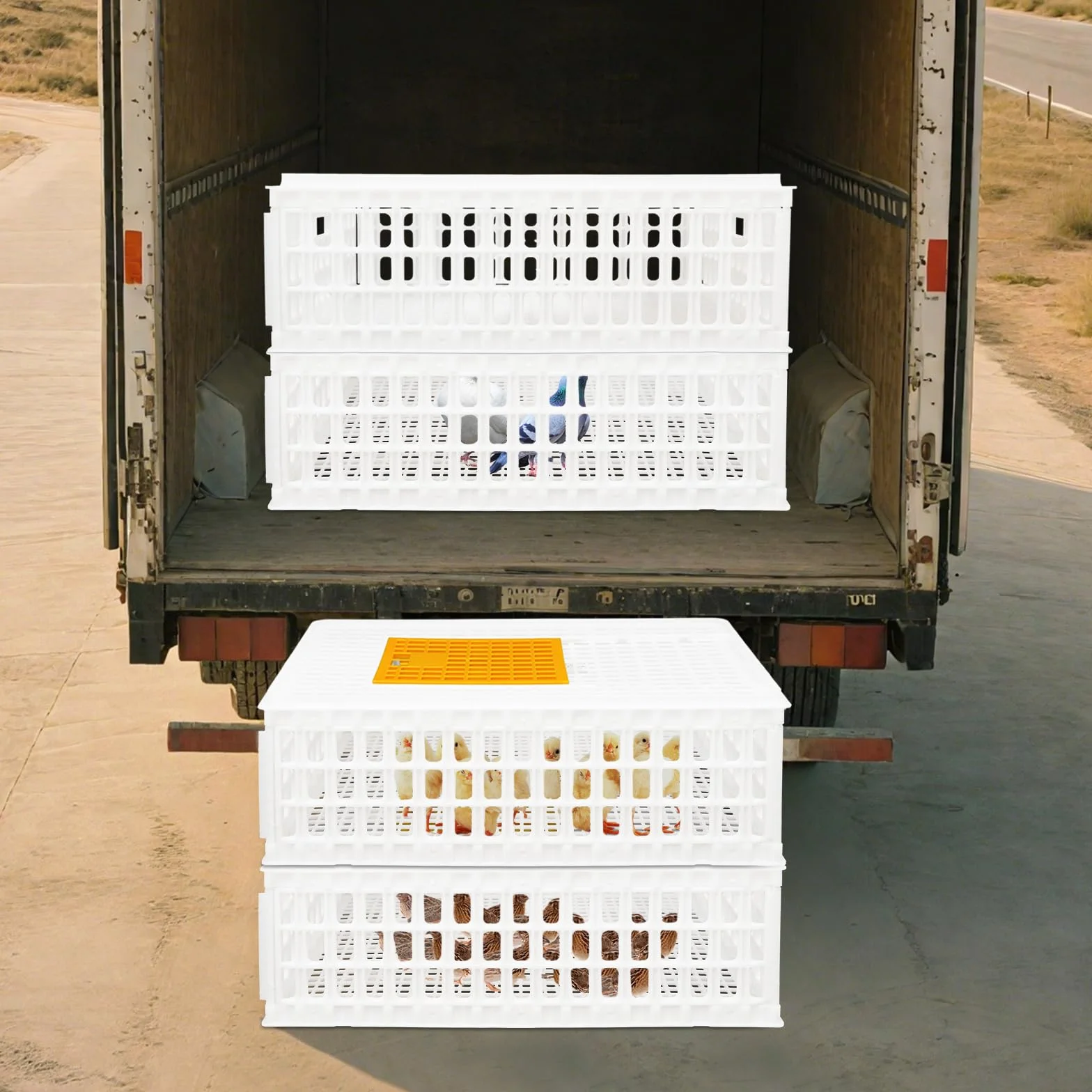 Lot de 4 caisses de transport pour volaille 77 x 55,5 x 27 cm - Capacité de charge 200 kg - Extra robuste