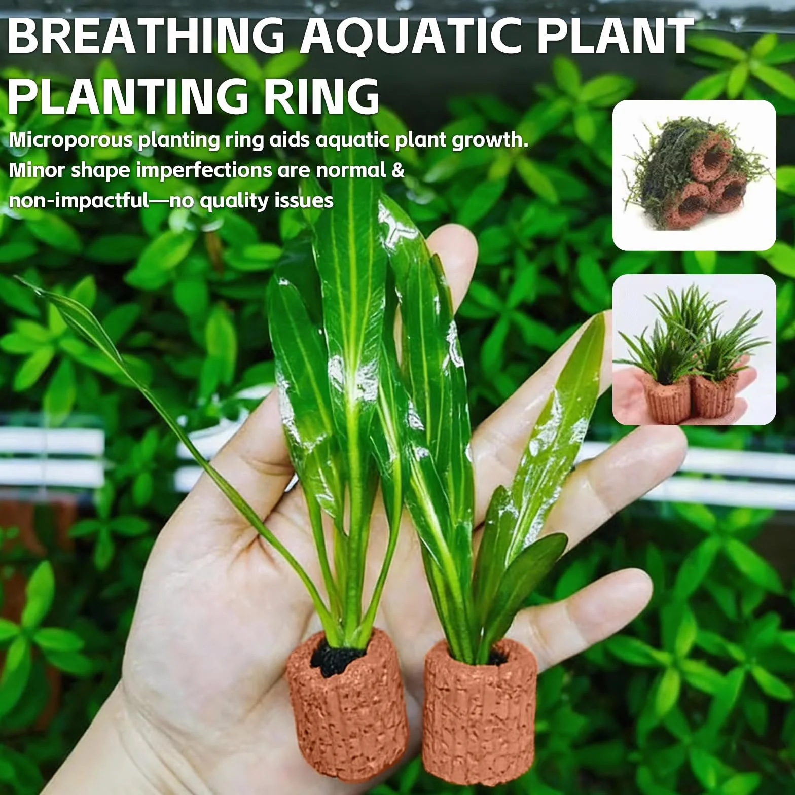 Anneaux de Fixation pour Plantes Aquatiques, Céramique, 2,5 cm, 30 Pièces