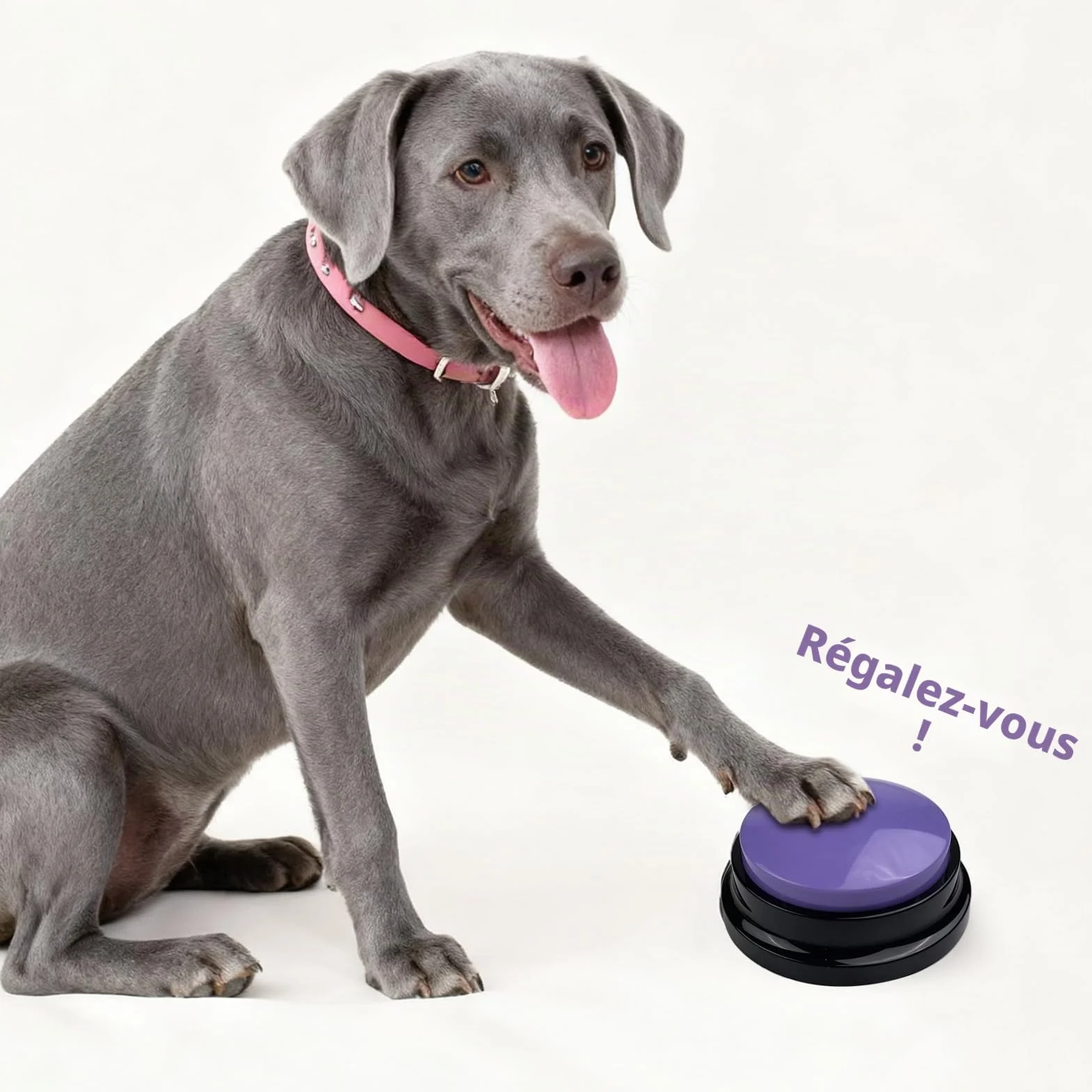 Bouton Parlant D'entraînement, Lot de 4 Buzzer Enregistrable, Boutons de Communication pour Chien avec Enregistrement de 30 Secondes, pour lEntraînement au Animaux Communication Enregistrée
