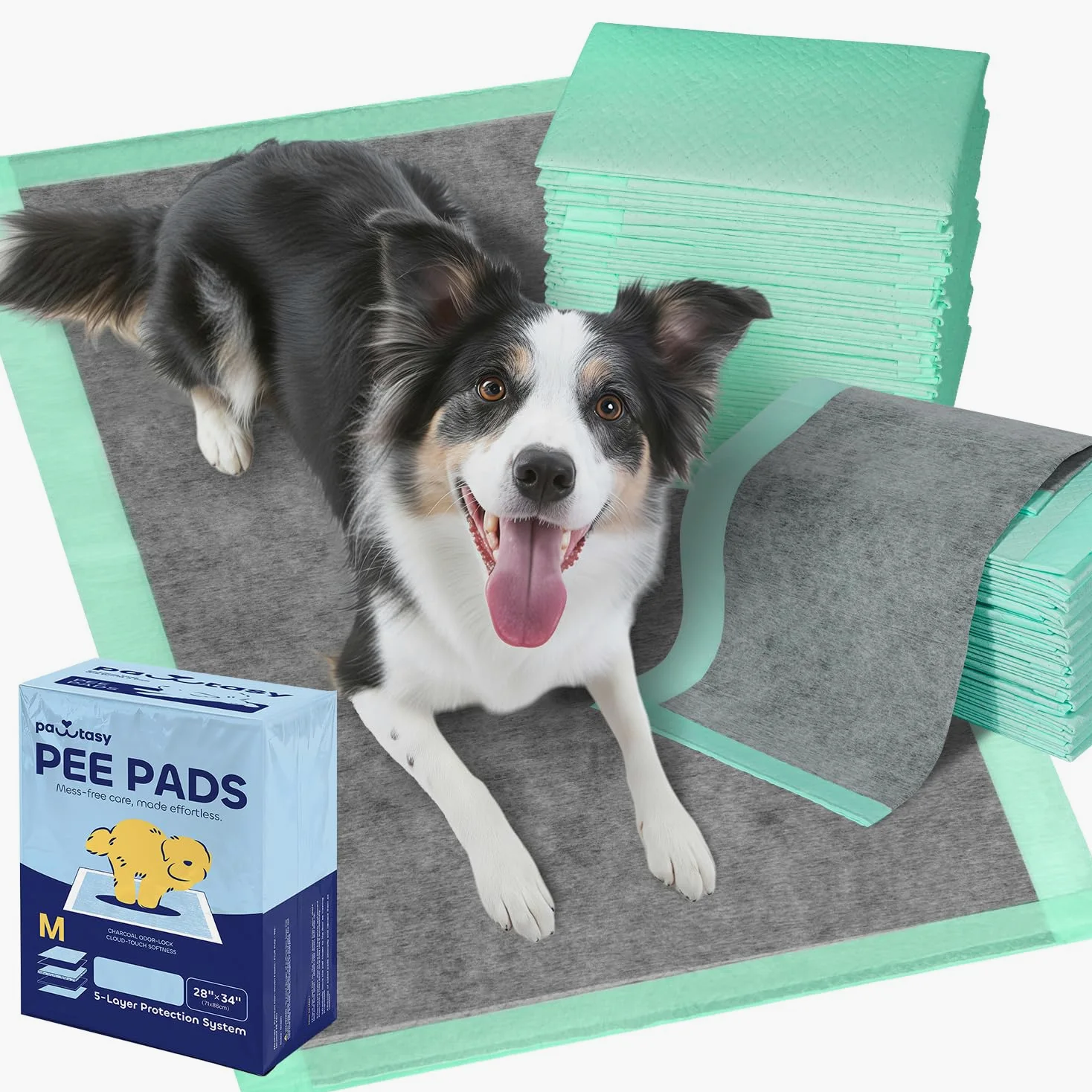 Pawtasy PIPI Lot de 50 tapis jetables pour chien avec charbon actif contre les odeurs de chiot - Anti-fuite et absorbant - Doux et doux pour la peau - 71 x 86 cm