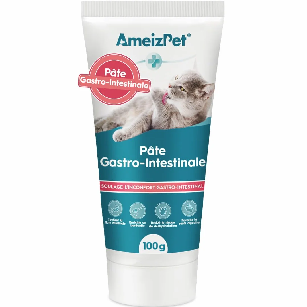 AmeizPet Pâte Gastro Intestinale pour Chats, 100 g – Complément Digestif pour la Santé Intestinale