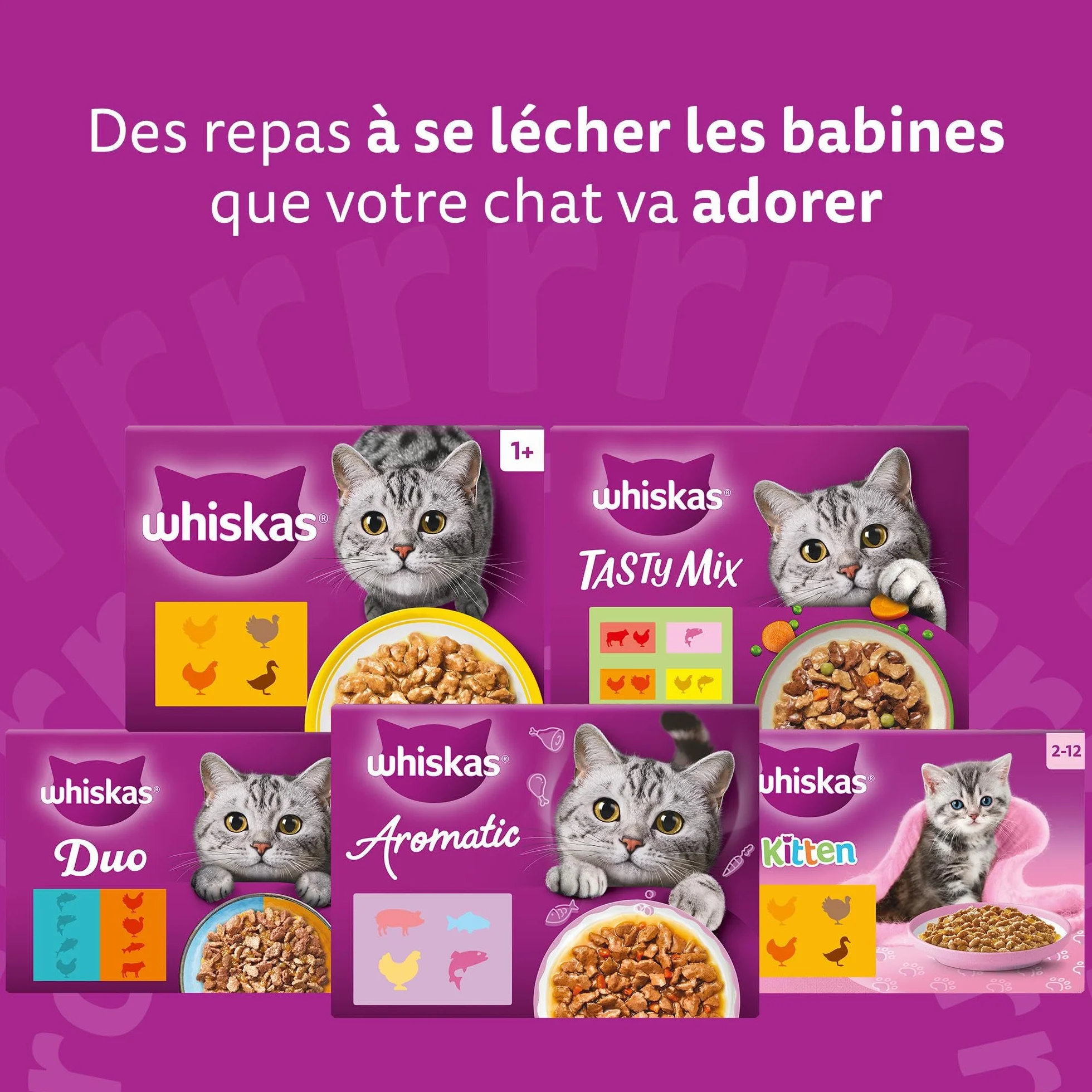 WHISKAS Aliment humide en gelée Chat adulte 24x85g Poissons Favoris Lot de 2 48 Sachets
