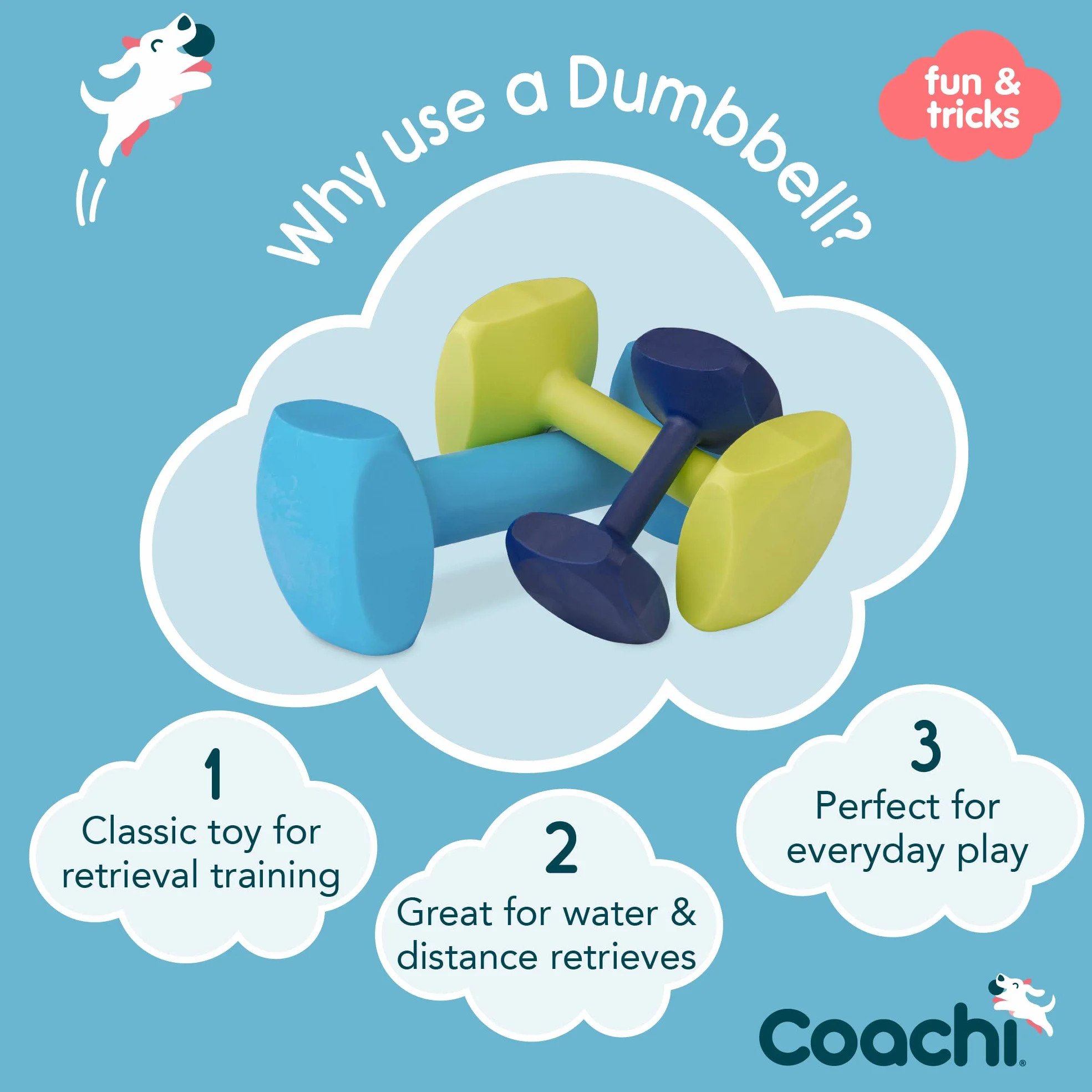 Dumbbell Coachi flotte à lancer dressage chiots chiens chasse accessoire petit chien