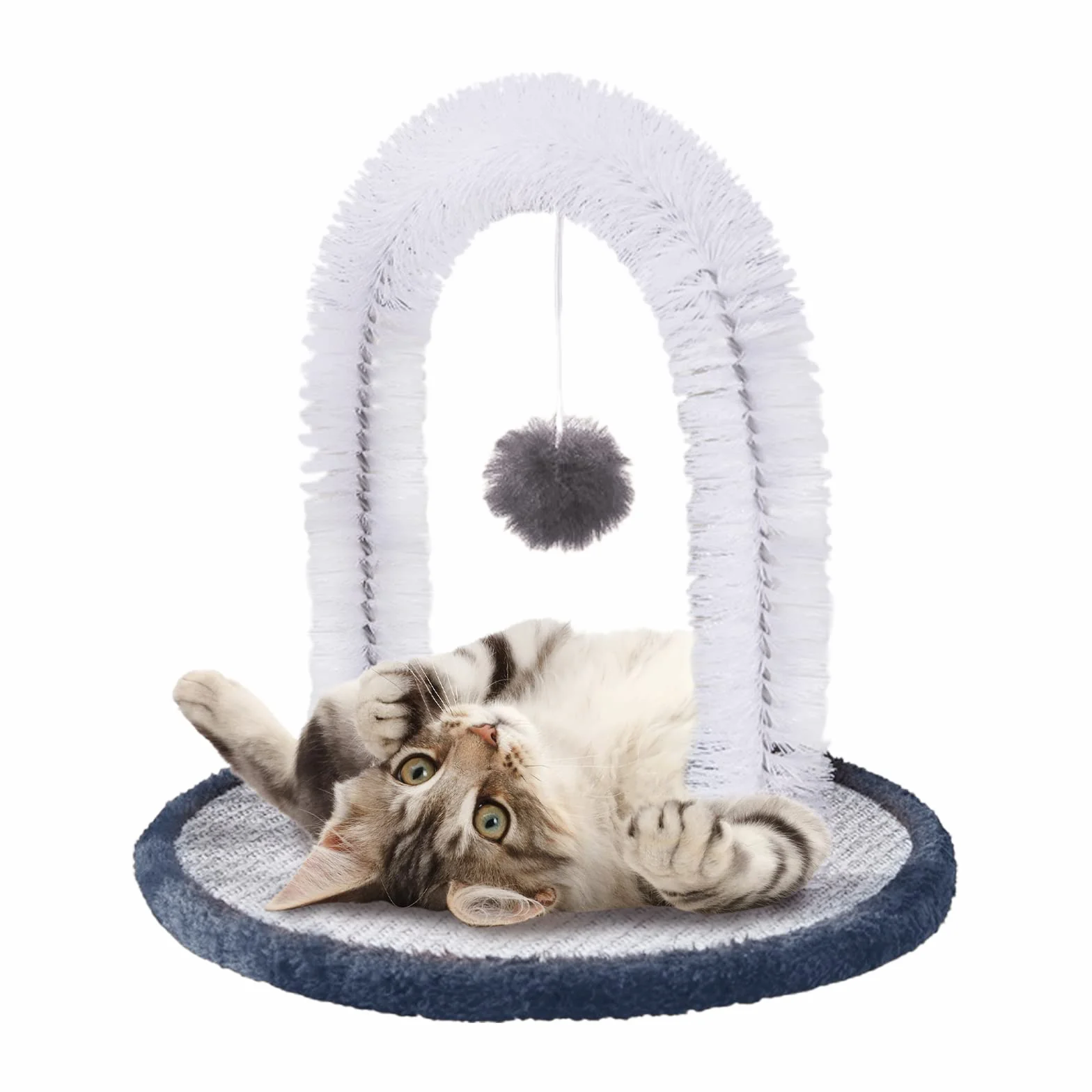 Brosse à poils de visage pour chat, gratte-dos, masseur durable pour chatons