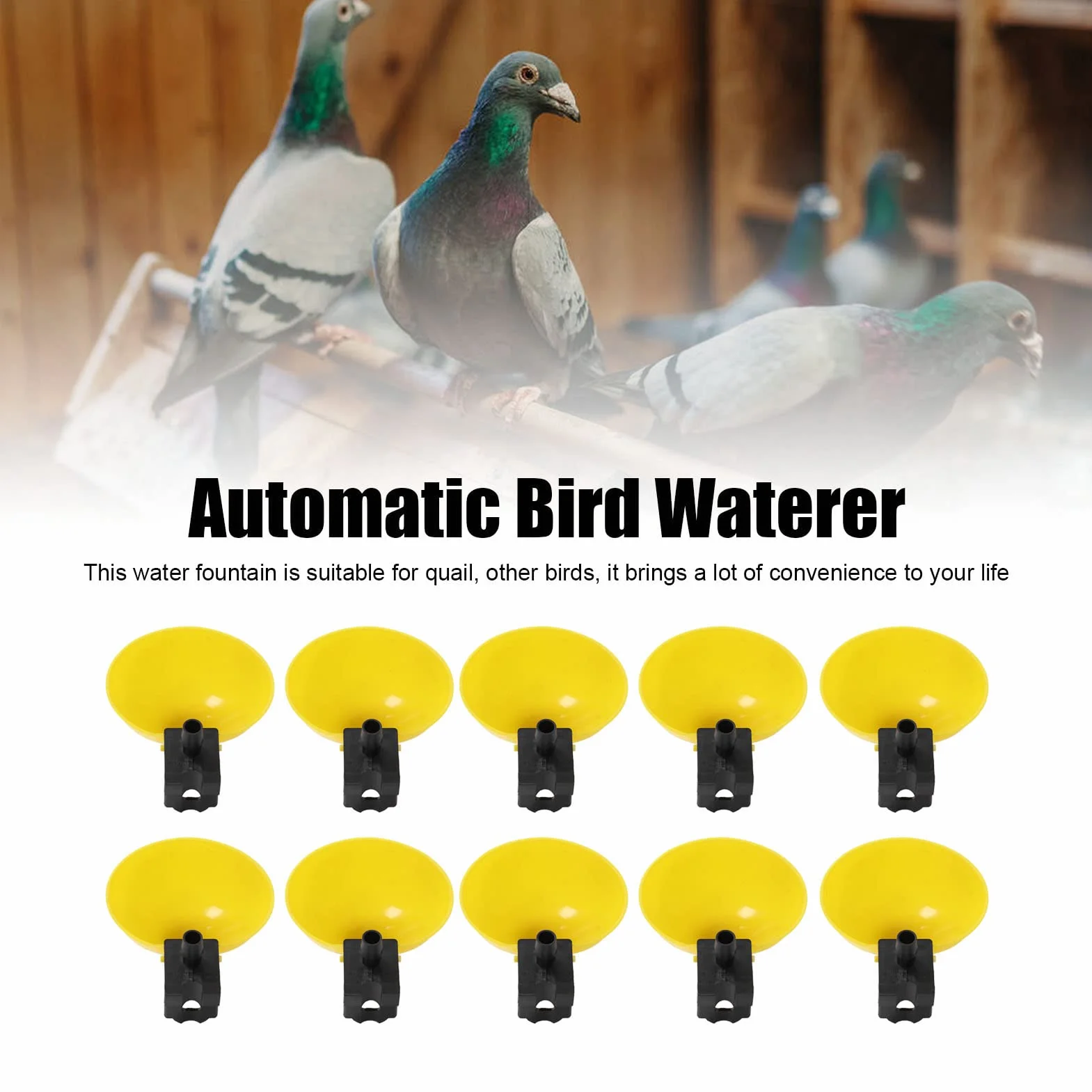 Bol à abreuvoir pour oiseaux 10 pièces distributeur d'eau automatique grande capacité