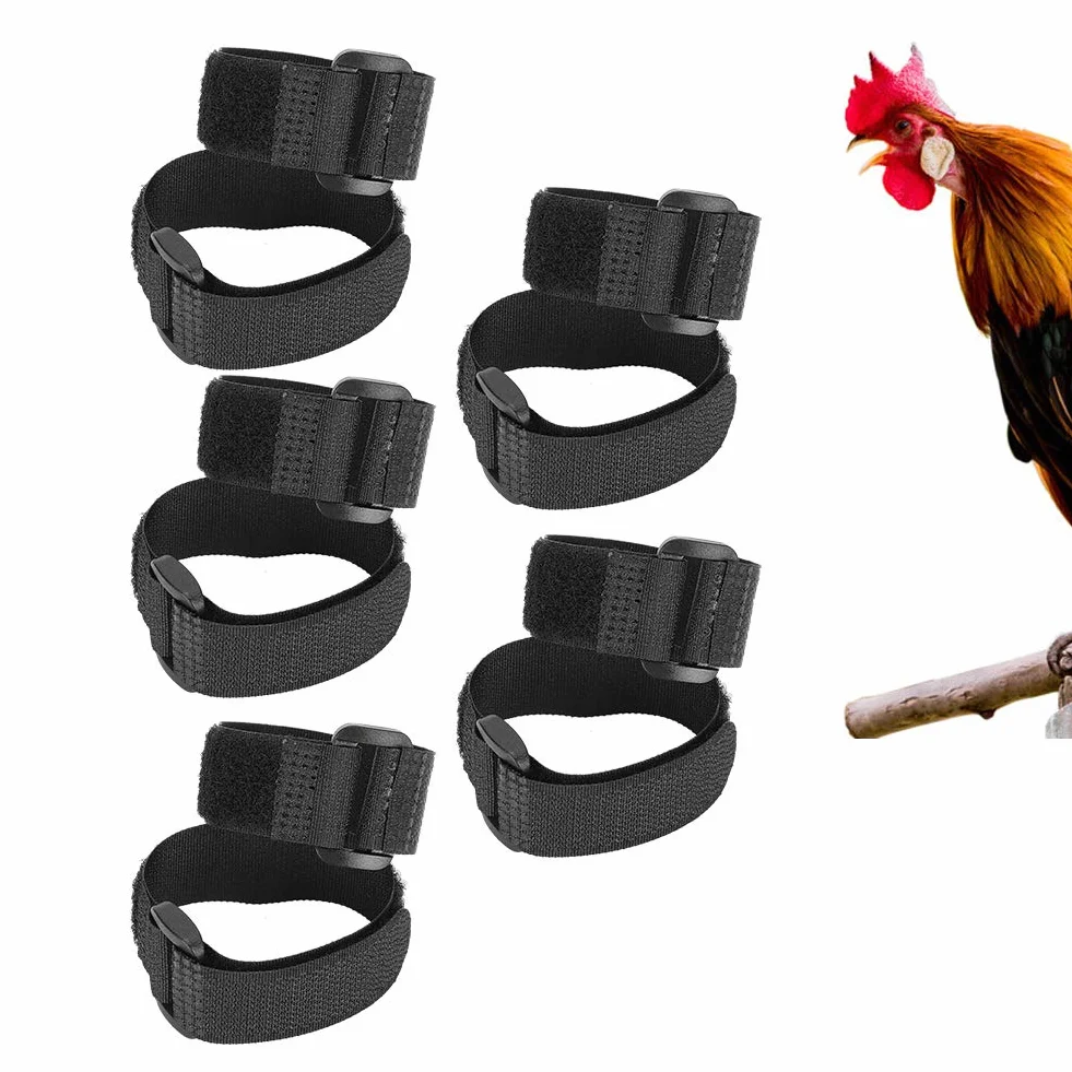 Collier anti-crochet anti-bruit pour coqs d'animaux de compagnie, 10 pièces, empêche les poules de crier (style normal) (Type 2)