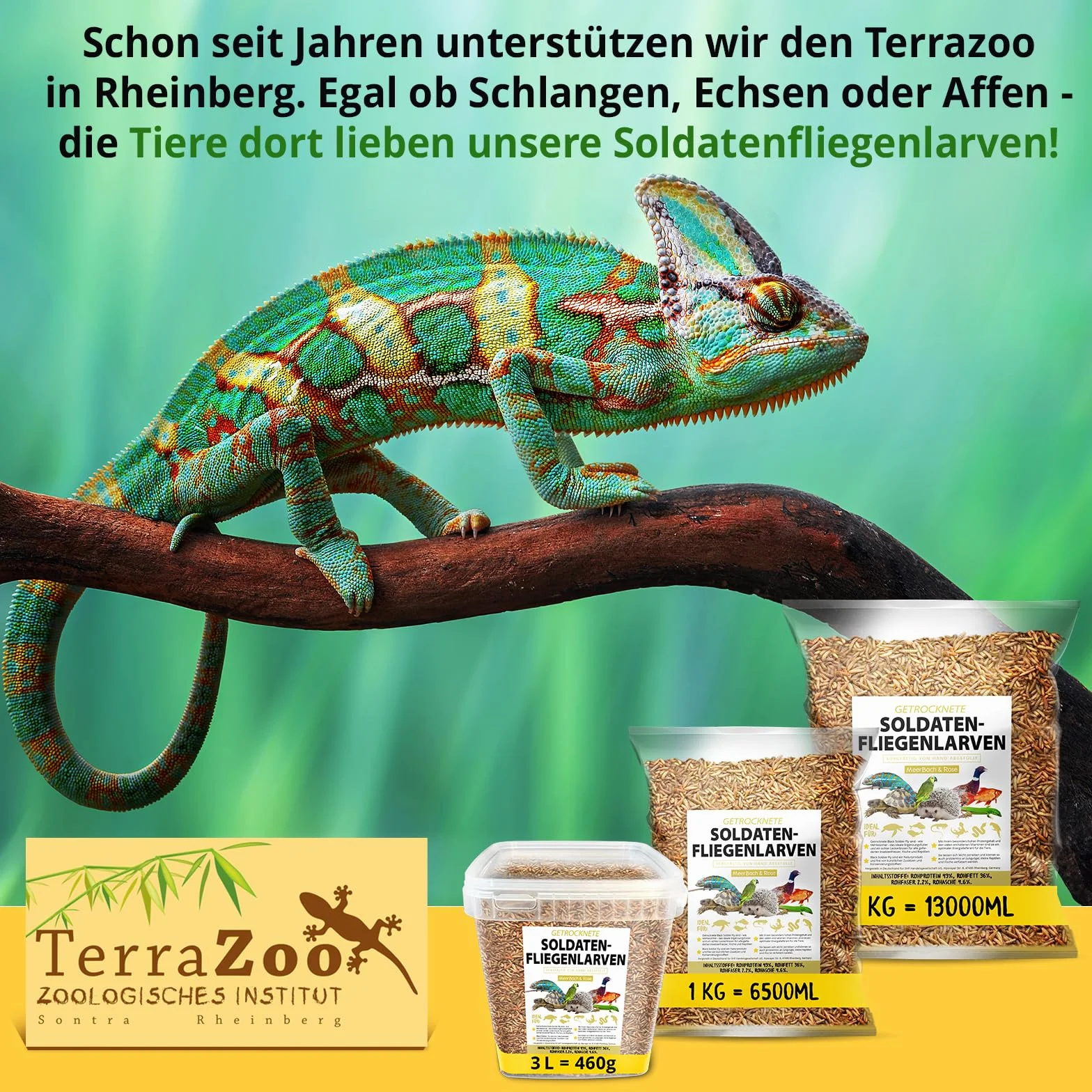 Larves de mouches soldats séchées - Black Soldier Fly - 1 kg (équivalent à 6,5 l) Aliment en sachet, collation riche en protéines pour oiseaux sauvages, poissons, reptiles, tortues et hérissons
