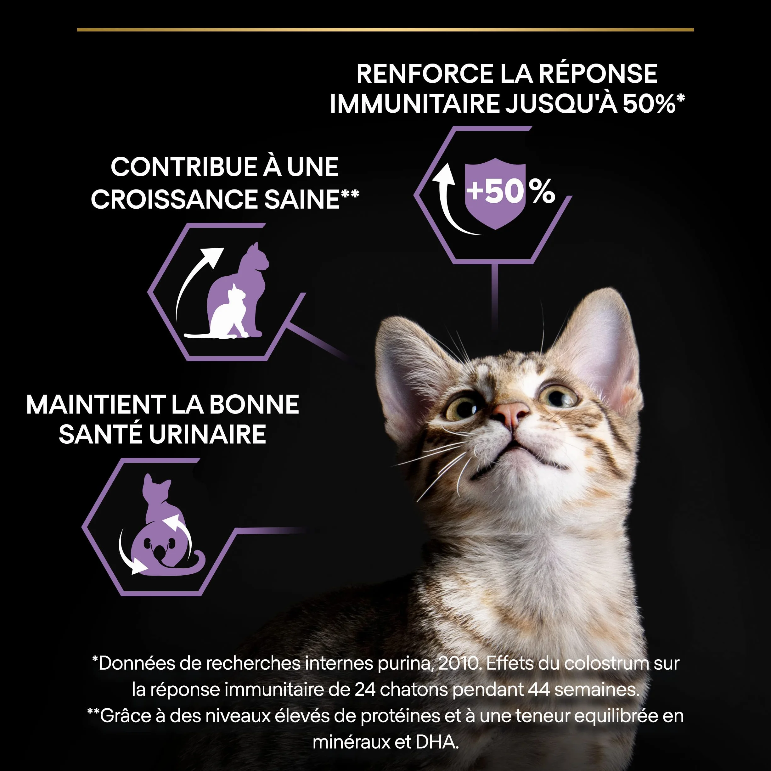 PURINA PRO PLAN Croquettes pour Chaton Stérilisé Saumon 3kg