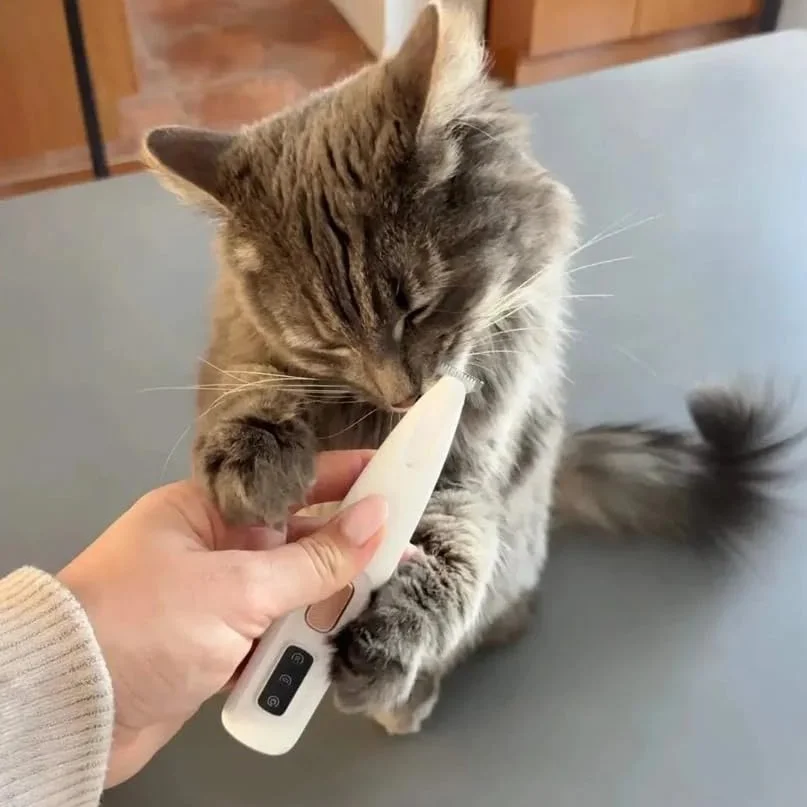Patounet Tondeuse de Précision pour Chat Blanc