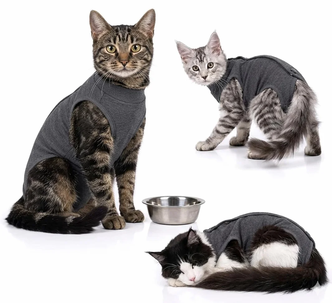 Body pour Chat après Stérilisation, Post Opératoire, Coton Doux, Protection Plaies, Taille M, 3-5kg, Gris