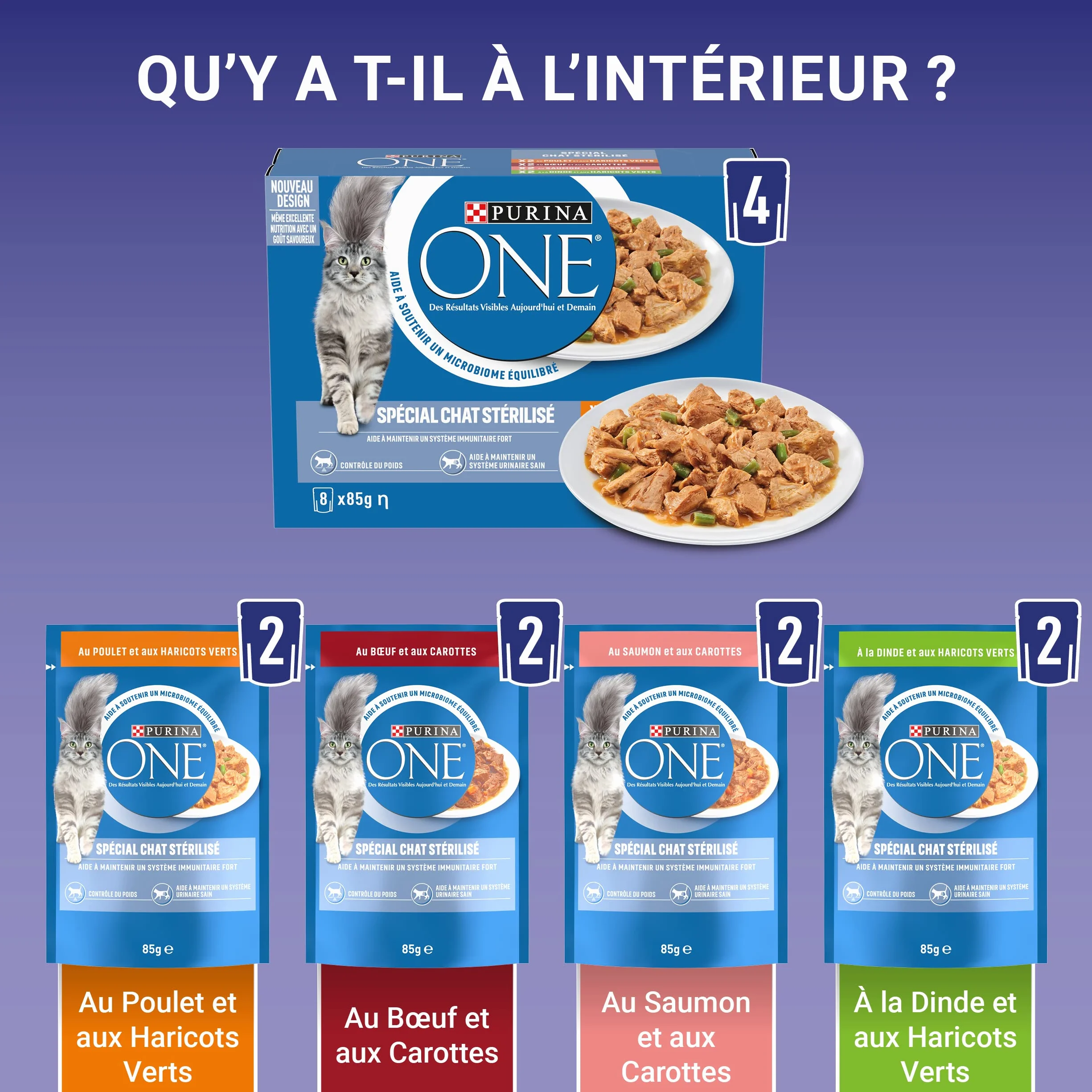 PURINA ONE BIFENSIS Chat Adulte Stérilisé Sachets Fraîcheur Poulet Bœuf Saumon Dinde Lot de 10 (8 x 85g)
