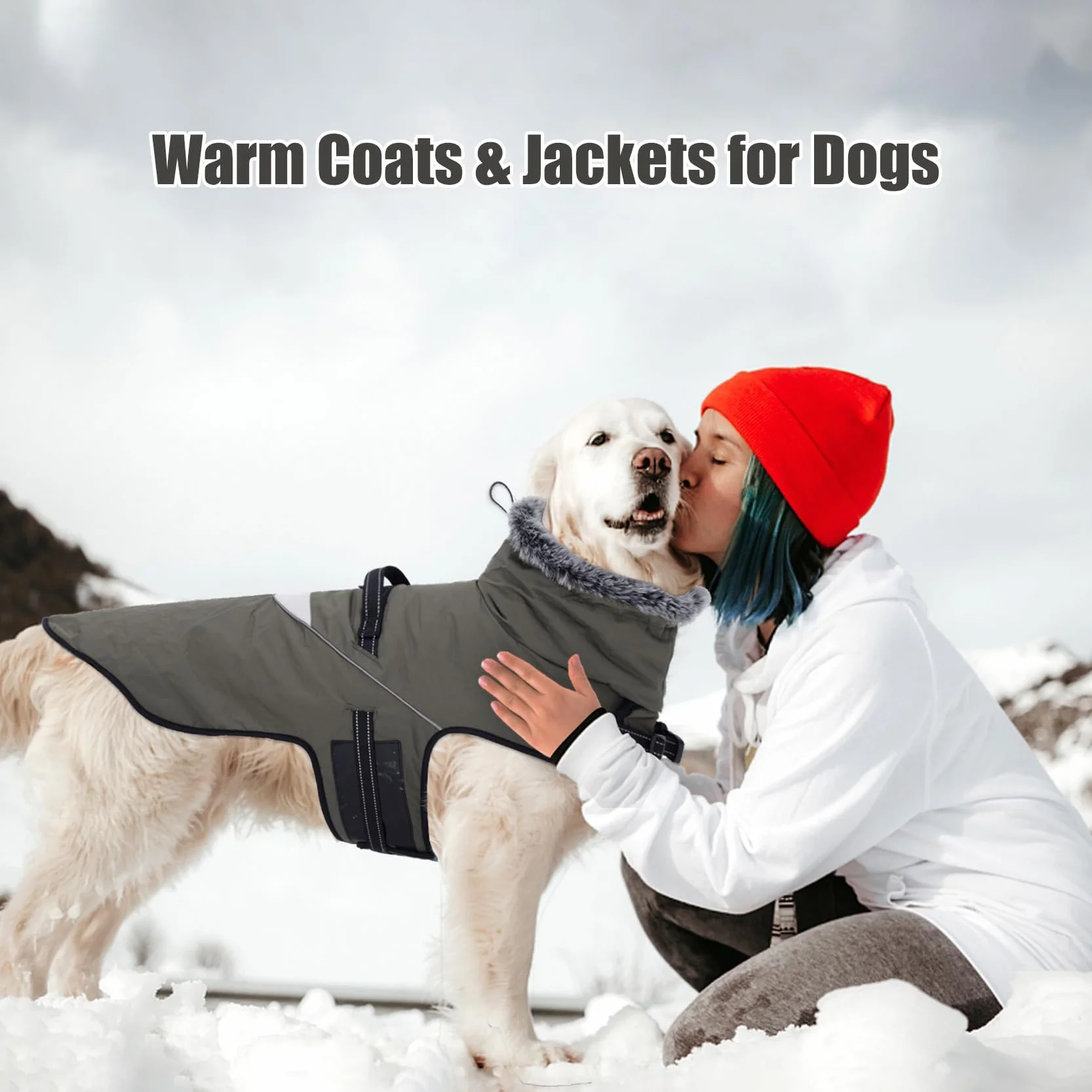 Manteau pour Chien imperméable avec Harnais, Hiver Chaud Réflecteurs Petite Moyenne Grande Taille