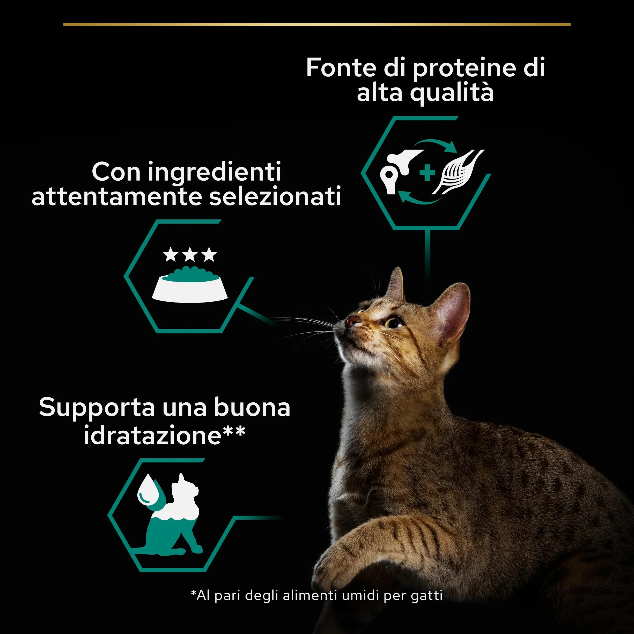 PURINA PRO PLAN | Adult STERILISED MAINTENANCE | Aliment Complet pour Chat Adulte Stérilisé | Aide à maintenir une bonne santé urinaire | Terrine | Au Poulet | Boîte | Lot de 24 x 85g