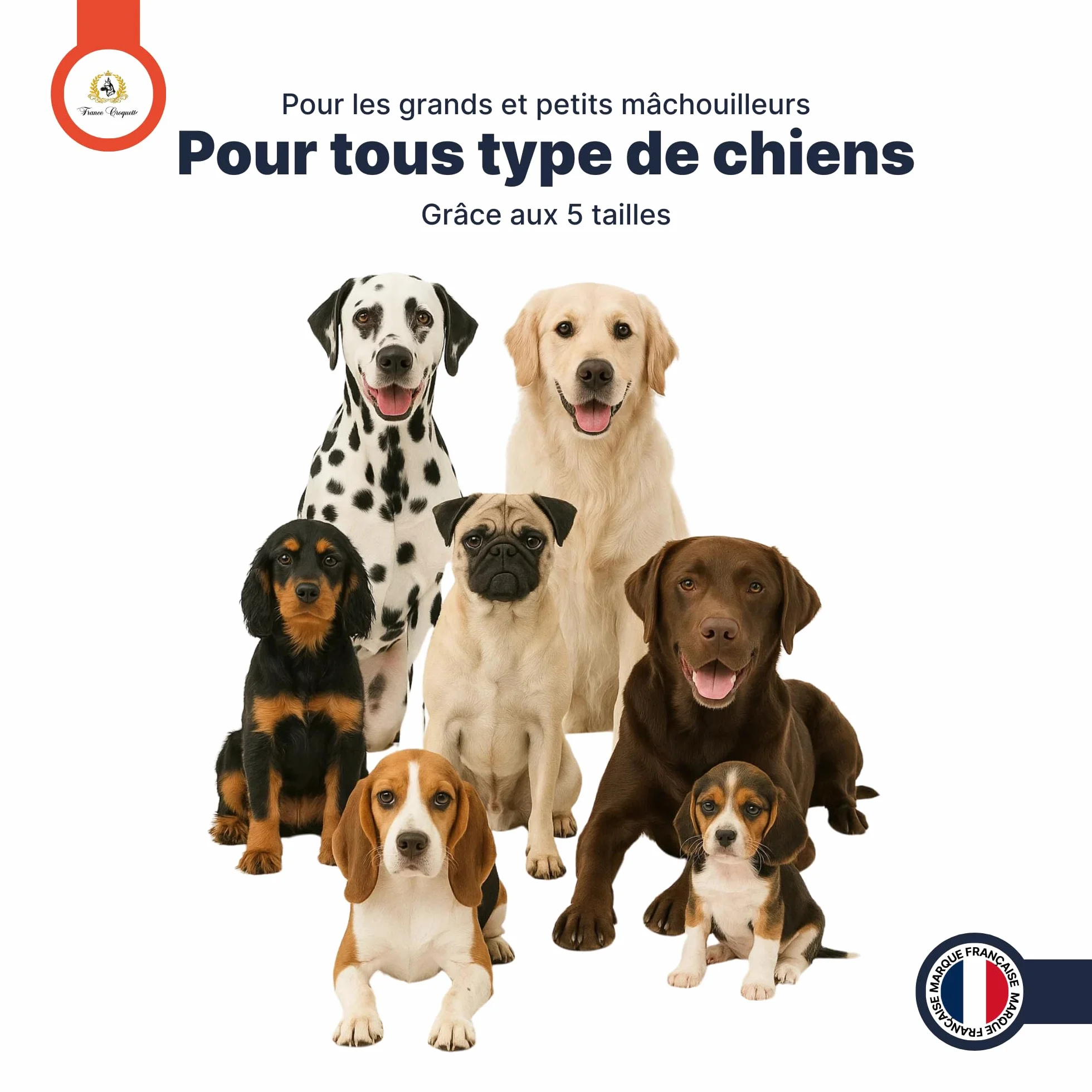 Fromage de Yak M 60-90g friandise naturelle à mâcher pour chien moins de 20kg