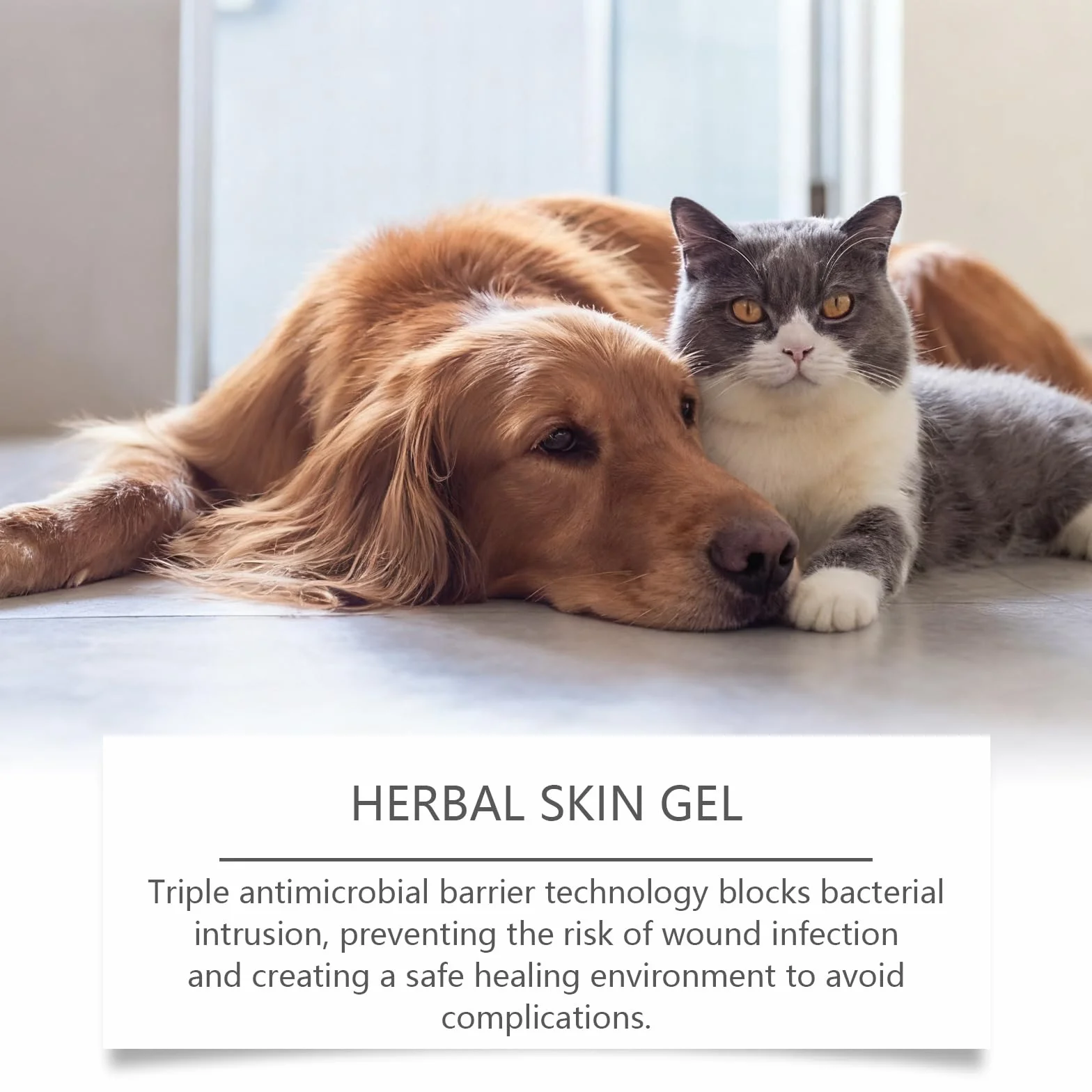 Gel Soin des Plaies pour Animaux, Chiens et Chats, Imperméable 20g
