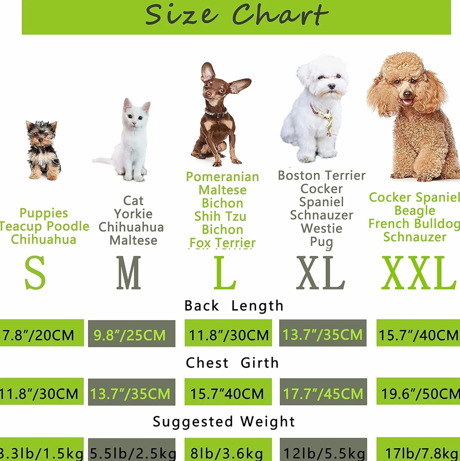 T-shirt Minimalist Pour Chien et Chat, Coton, Paquet de 2, Gris et Bleu