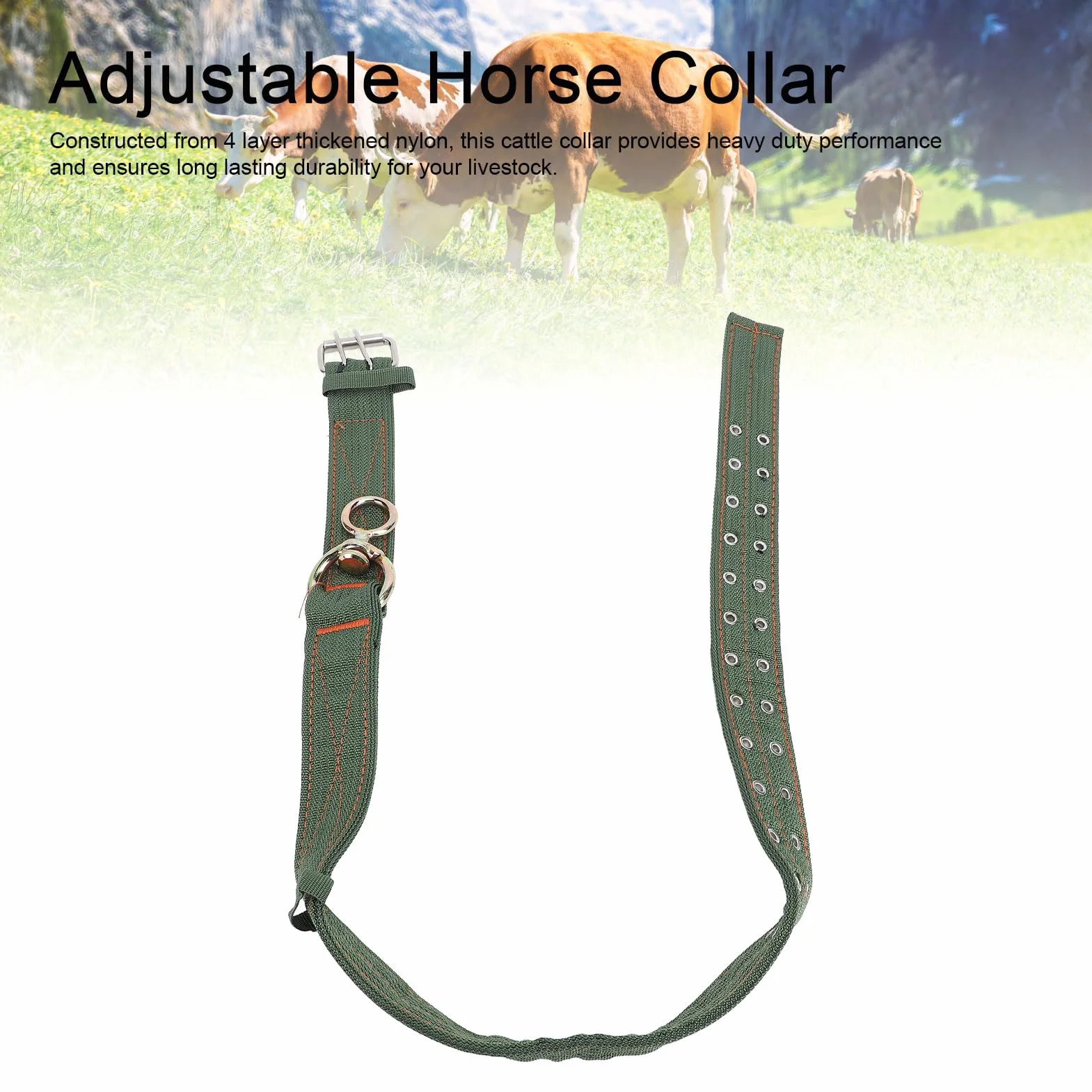 Collier pour bovins en Nylon épais avec Boucle en métal et chaîne de Traction pour Chevaux, Chiens et Animaux de Ferme (Taille Moyenne)