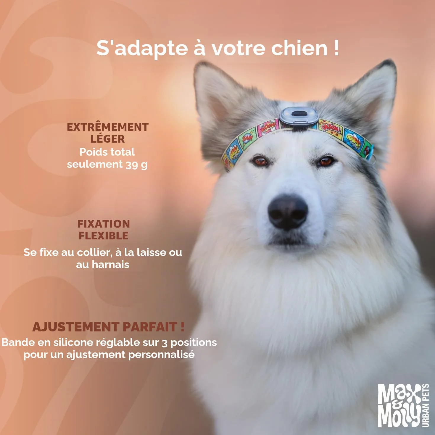 Max & Molly Matrix 2.0 Ultra LED, Lampe LED pour harnais, laisse et collier de chien, Noir, Étanche, Rechargeable par USB, Attache lumineuse pour chien pour plus de sécurité