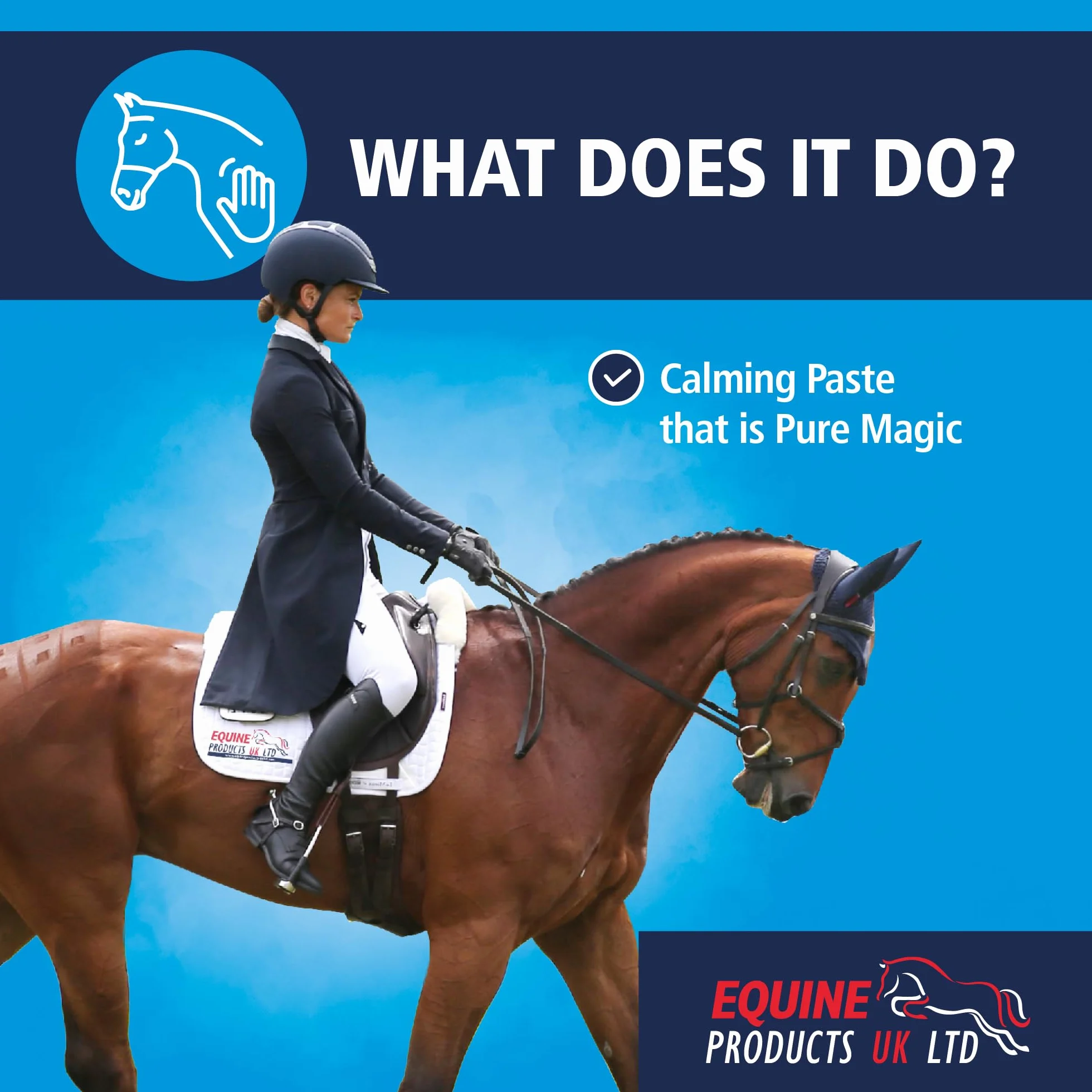 Equine Products Cool It Paste. Calmer pour Les Chevaux. Donné aux Chevaux comme complément nutritionnel Pendant Les périodes de facteurs de Stress accrus