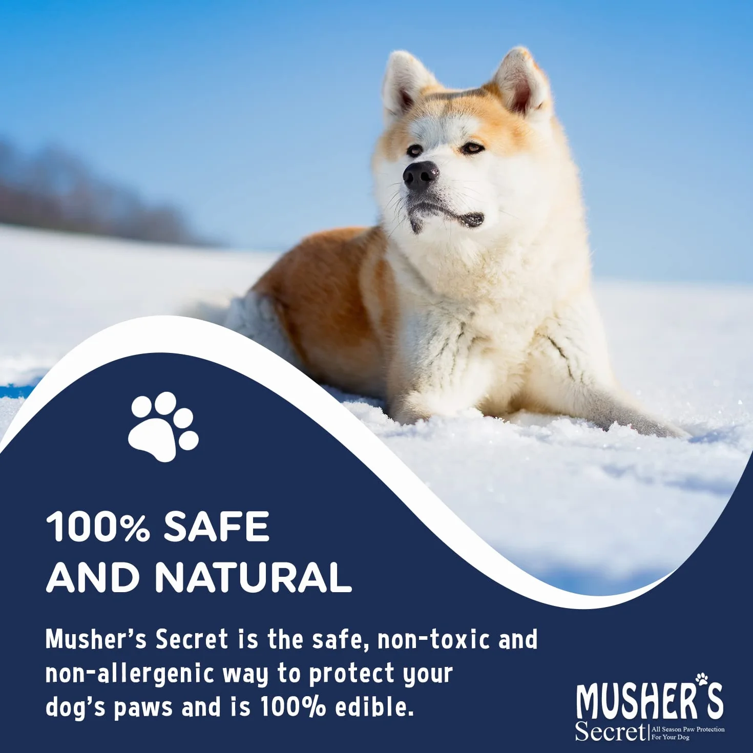 Musher's Secret Baume Coussinets Chien Protection Anti-Sel Neige 200g