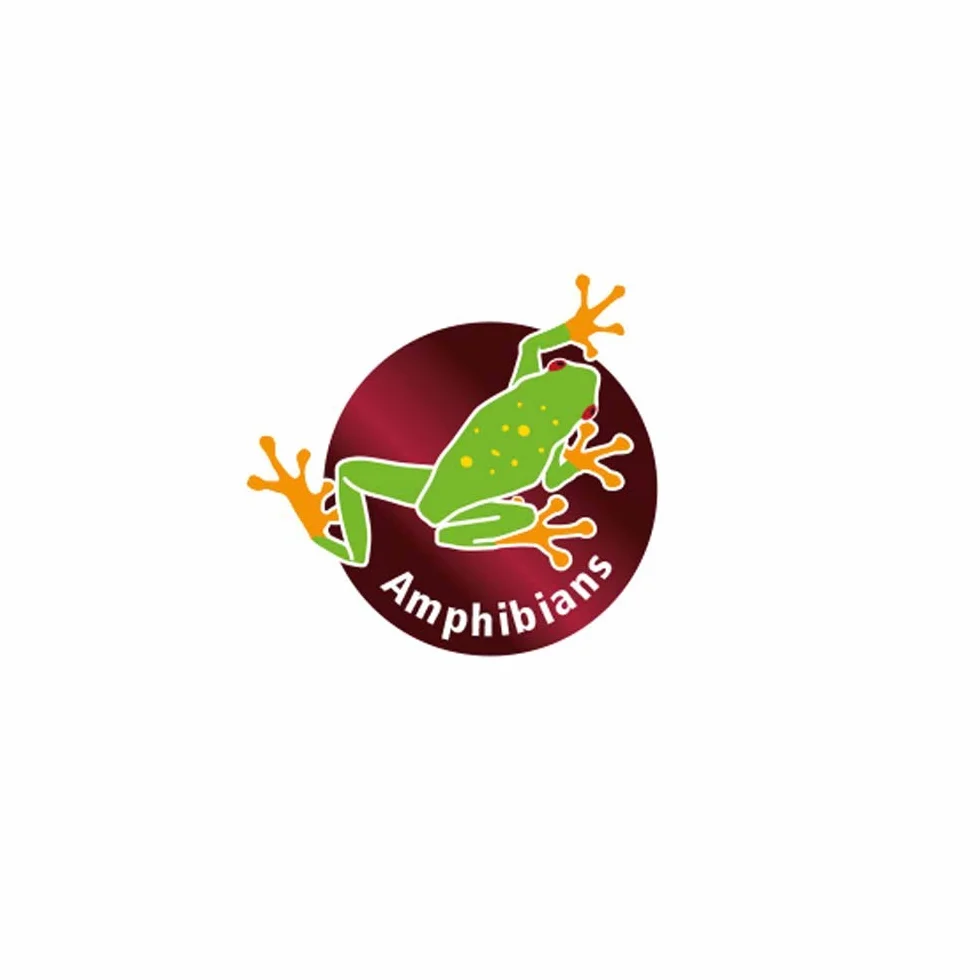 Sphaigne Substrat Tropical pour terrariums et orchidées 100% Naturel sans additifs Chimiques