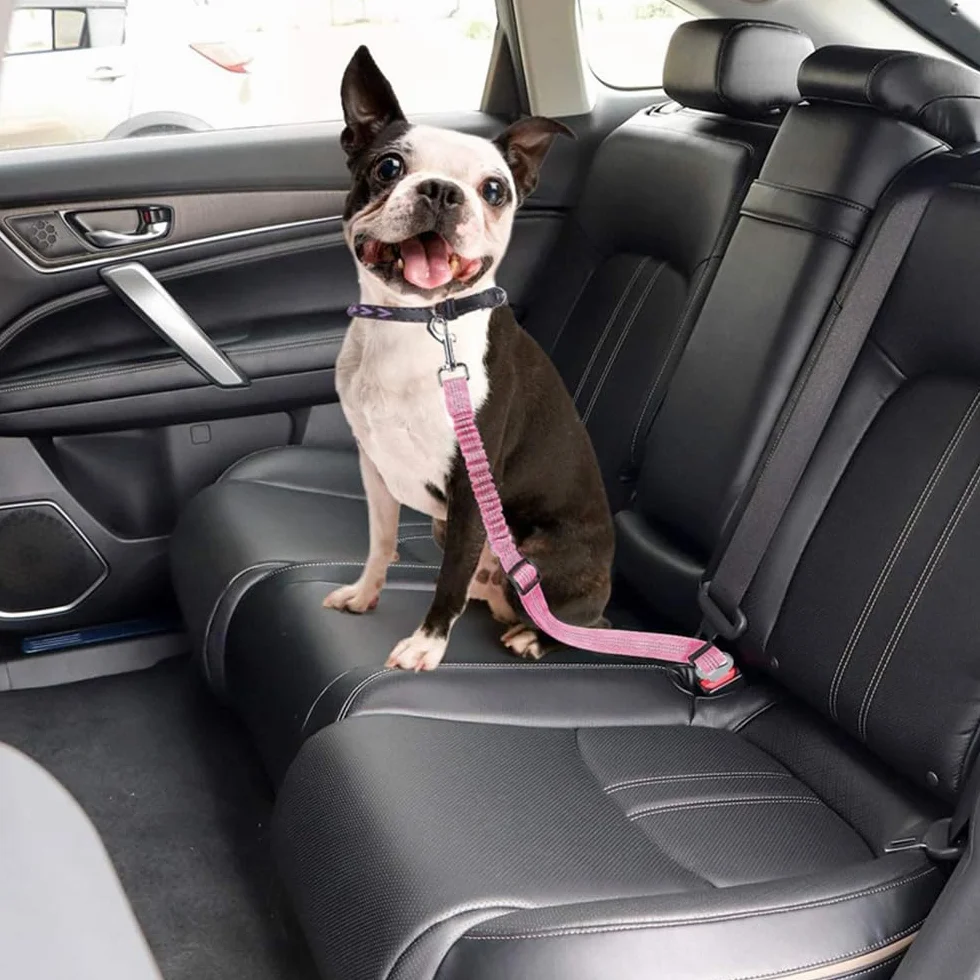 Laisse Élastique Réglable Ceinture Sécurité Voiture Chien Harnais Ajustable Protection Automobile Animaux Compagnie Nylon Résistant Boucle Robuste