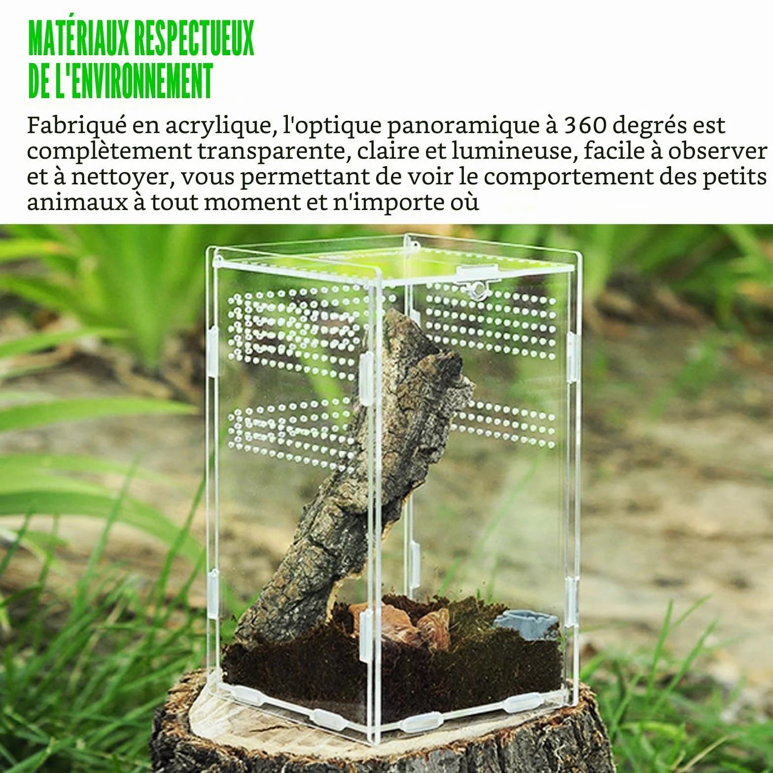 Nizirioo Terrarium acrylique 360° 12x12x20 cm pour araignée scorpion mante religieuse reptile