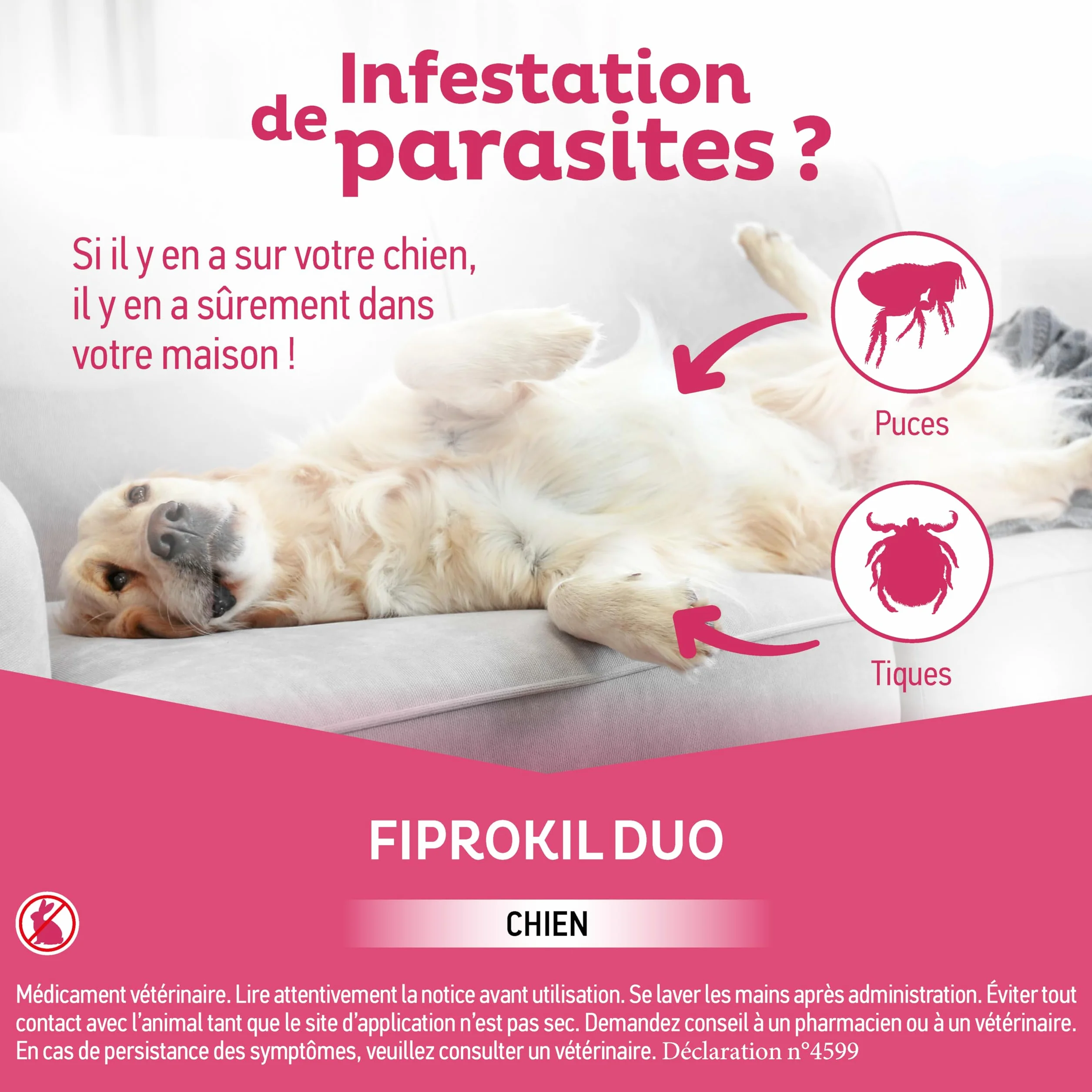 Fiprokil Duo Petits Chiens Clément Thékan (2-10 kg) - Anti-Puces/Tiques - Élimine parasites/Oeufs - Protège Jusqu’à 7 semaines l’Animal et 12 semaines l’Environnement - 4 pipettes Spot on