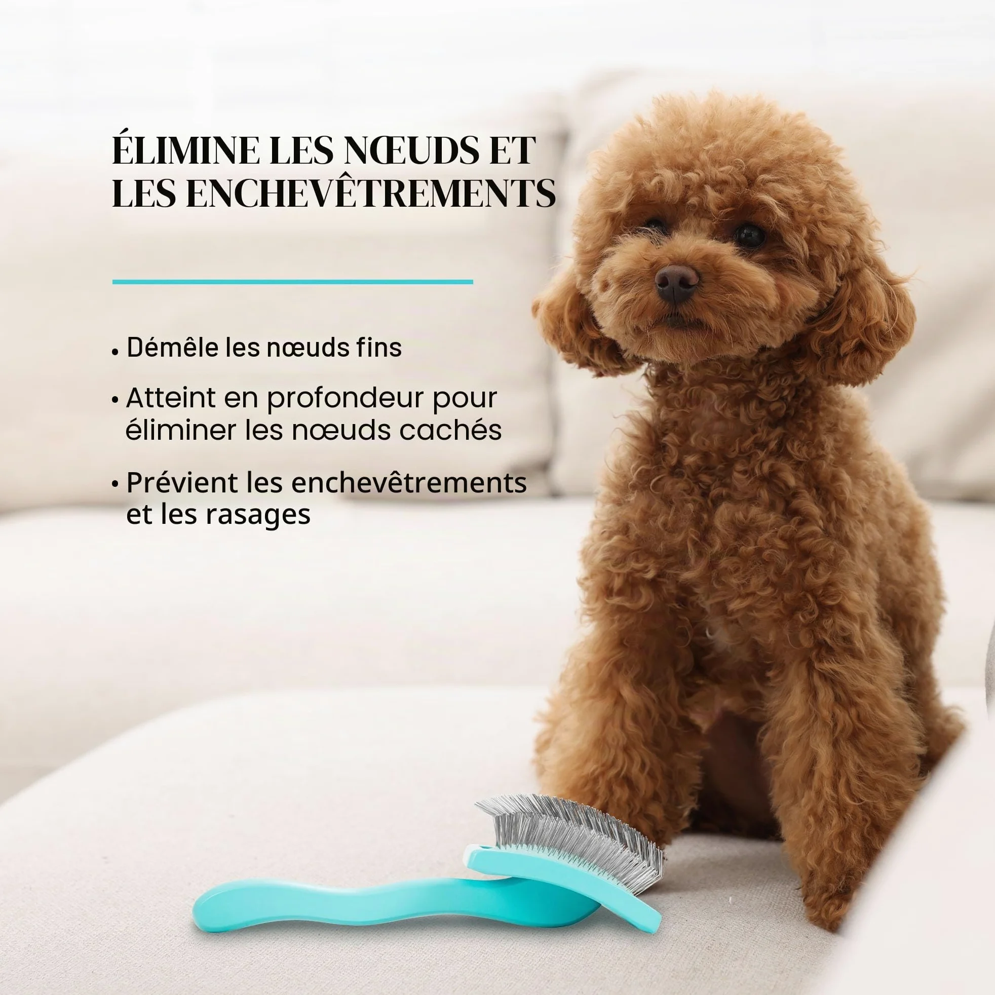 Chris Christensen Big G Brosse à démêler pour chiens (dorés, labradoodles, caniches), toilettez comme un professionnel, style démêlant en peluche, permet d'économiser du temps et de l'énergie, bleu