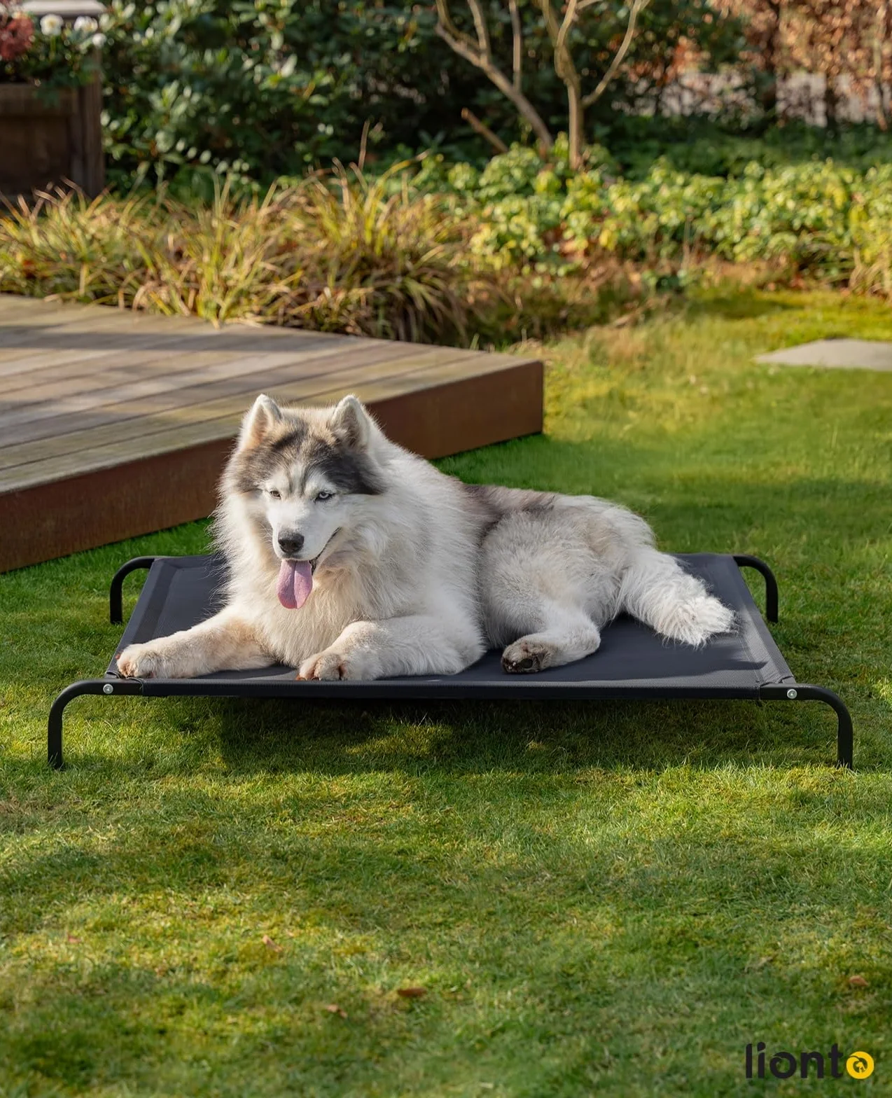 Lionto Lit pour Chien surélevé d'extérieur 117x85 cm Housse Amovible Maille Respirante Cadre métallique Noir