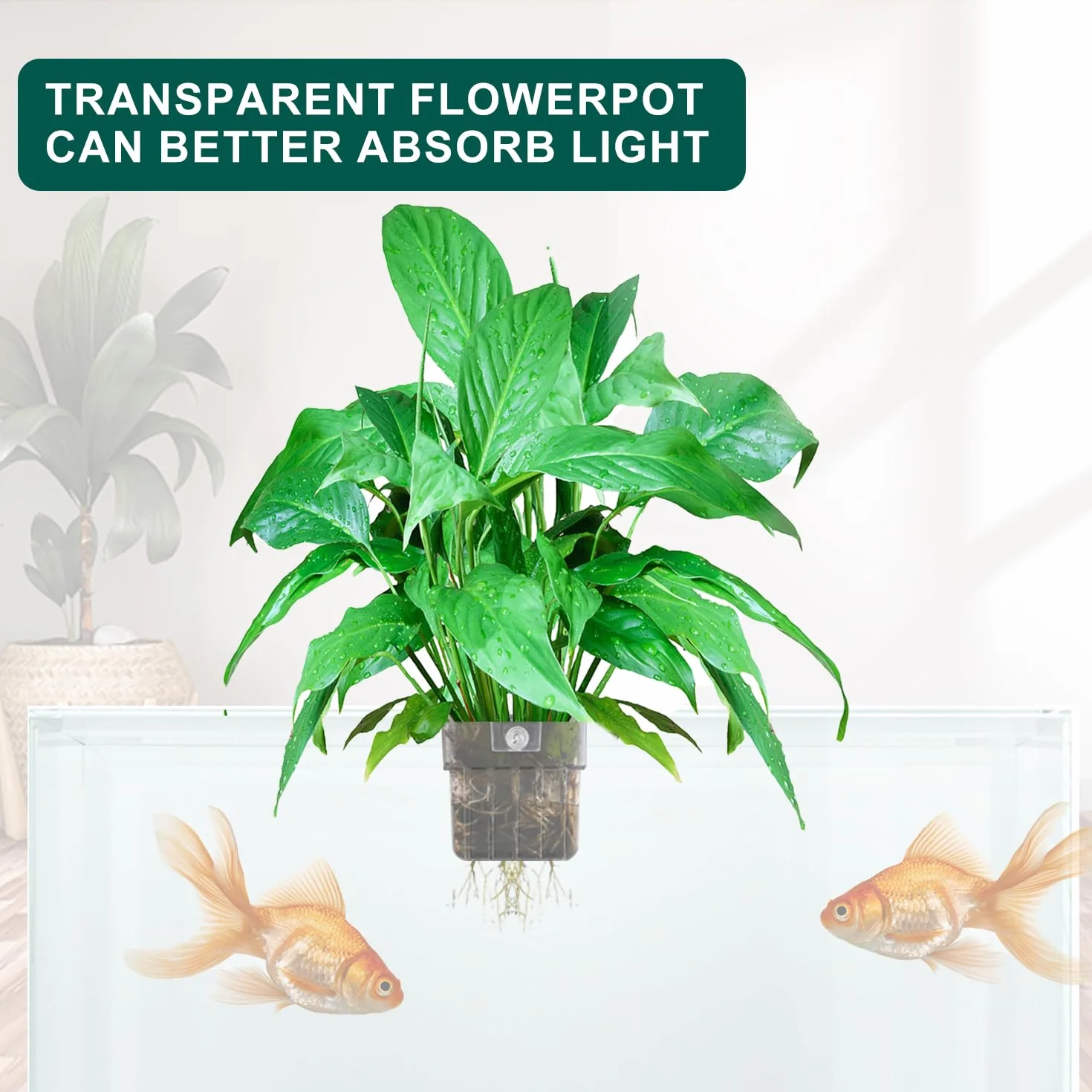 Support Plante D'Aquarium, Pot pour Plantes D'Aquarium, Acrylique Transparent Tasses Panier pour Plantes Aquatiques Suspension, Décoration pour Aquarium, 2 Pièces