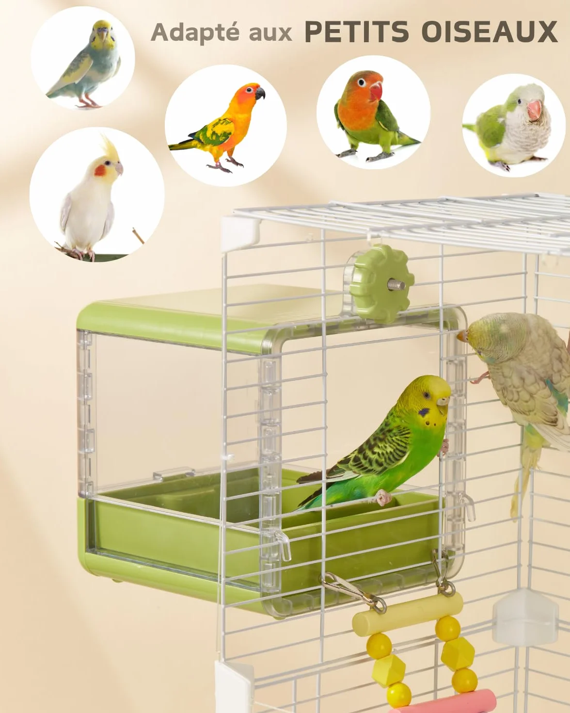 Bain d'oiseaux pour Cage, Bol Suspendu pour Oiseaux, Accessoires pour Cage à Oiseaux adaptés aux Oiseaux de Petite et Moyenne Taille, perroquets, inséparables, pinsons, perruches (Vert)