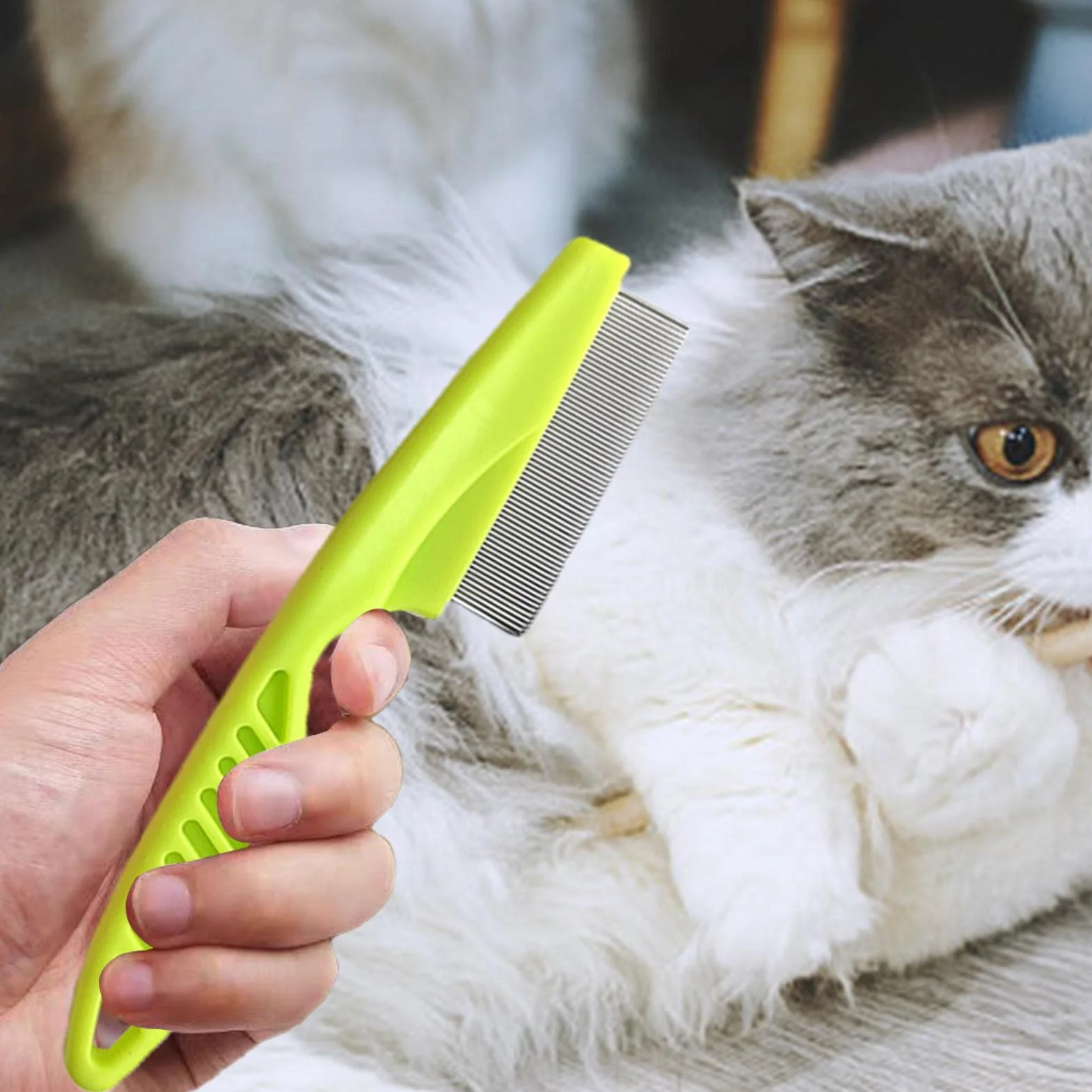 Brosse anti-puces pour chat avec manche épaissi | Peigne pour chiots pour petits chiens | Kit toilettes pour chiens Jingan